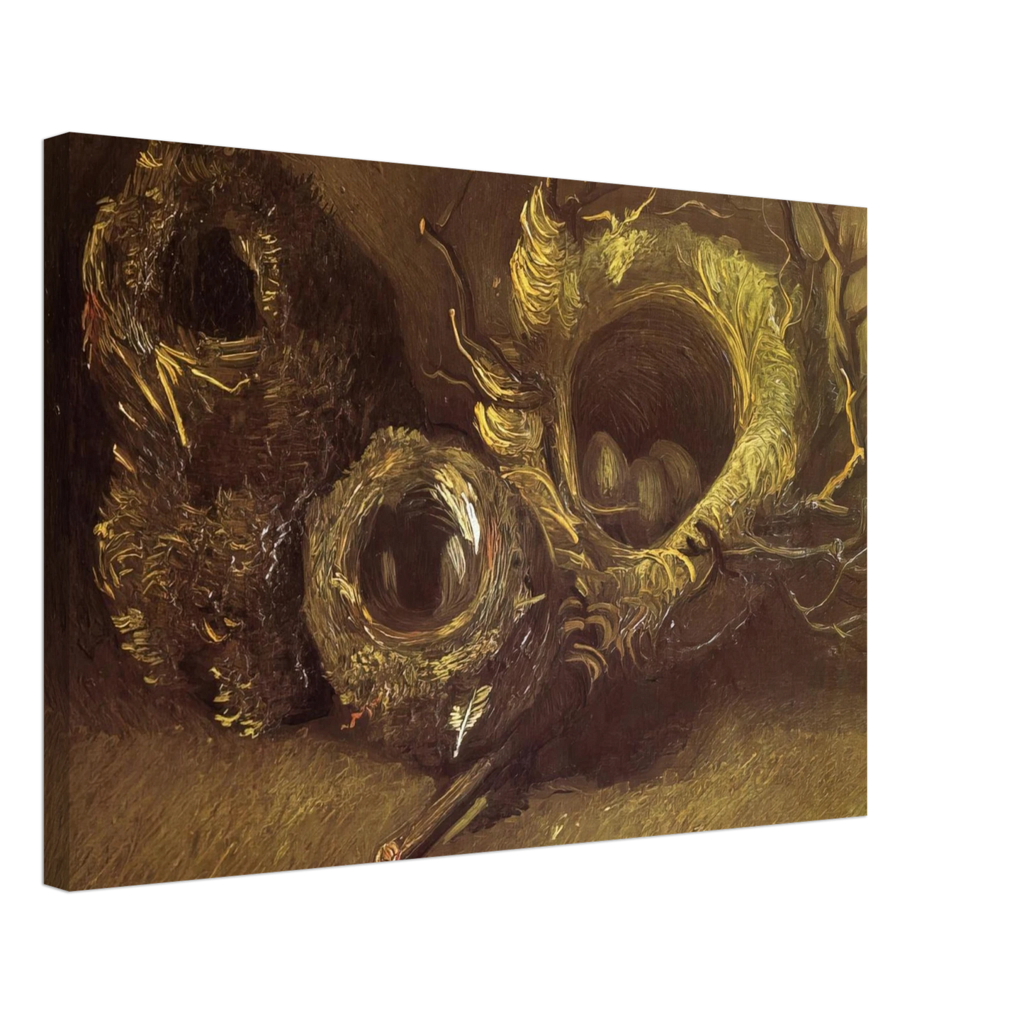 Vincent van Gogh - Still Life with Three Birds Nests Canvas - 40x60 cm / 16x24 inches-canvas