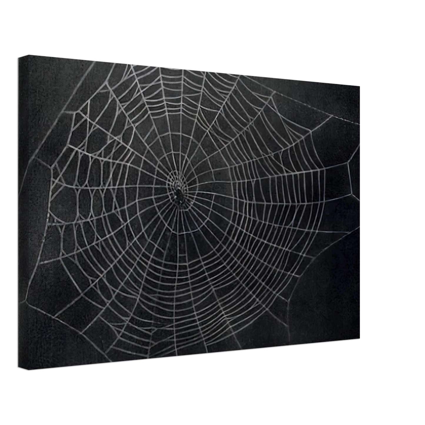 Vija Celmins - UNTITLED SPIDER WEB 2000 Canvas - 40x60 cm / 16x24 inches-canvas