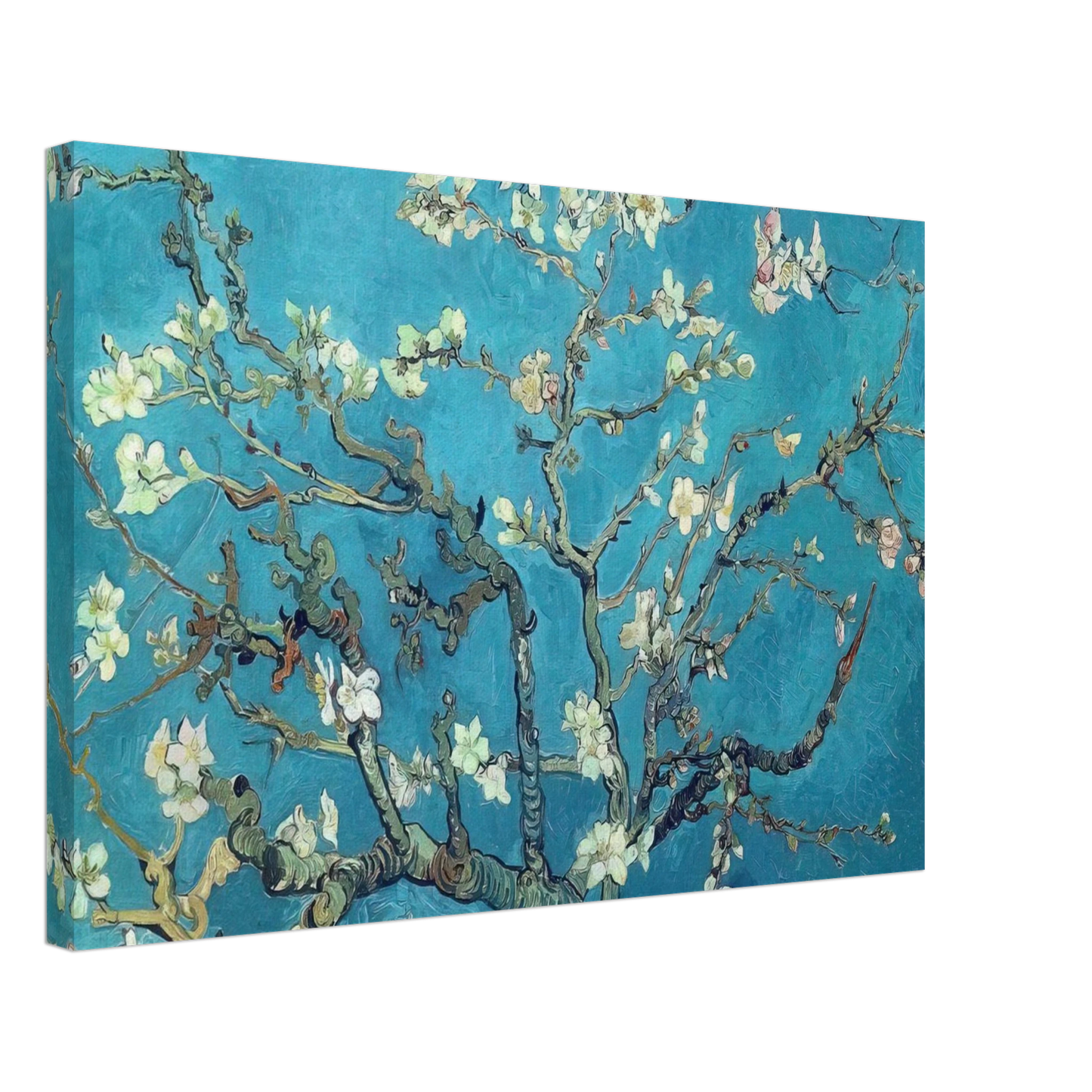 Vincent van Gogh - Branches with Almond Blossom Canvas - 40x60 cm / 16x24 inches-canvas