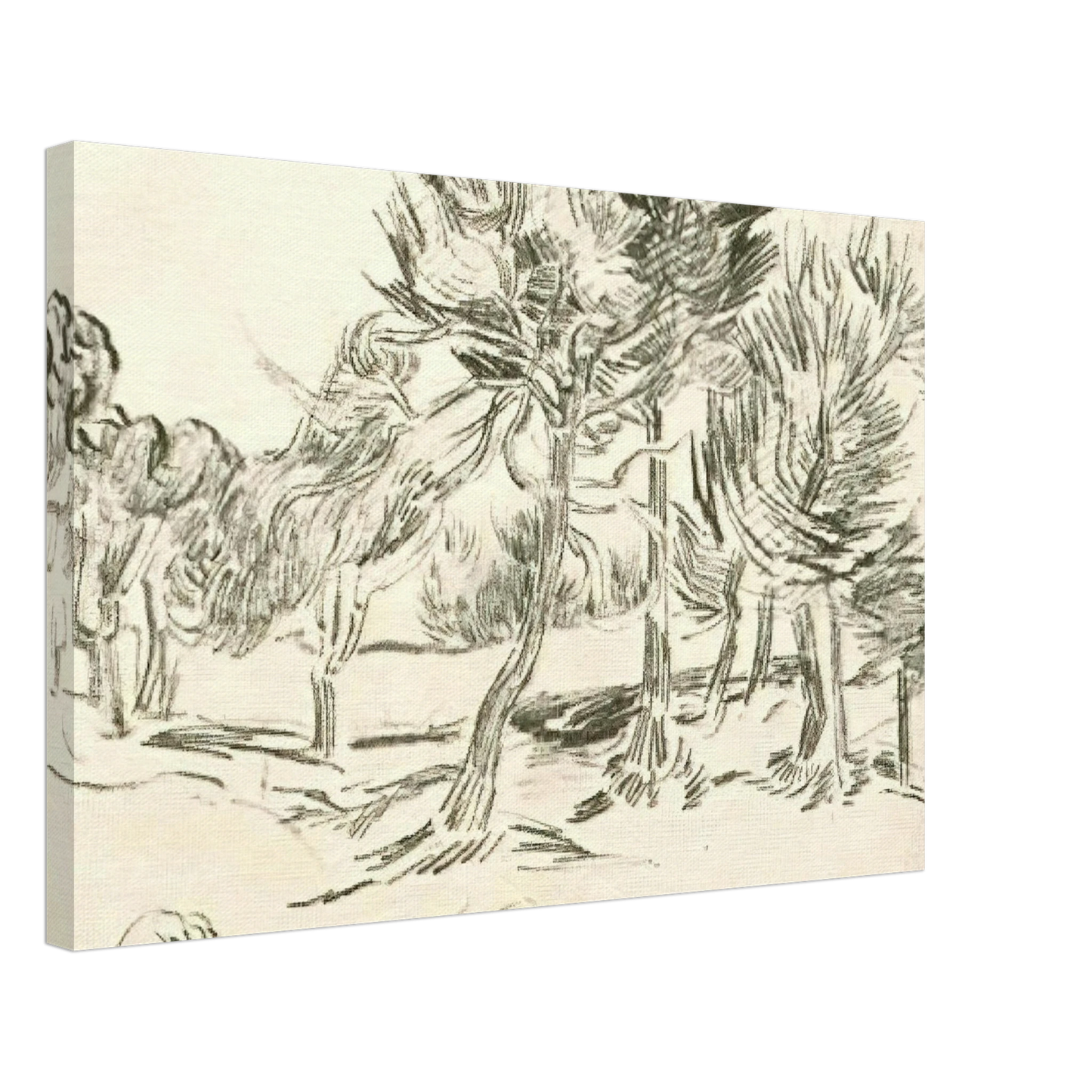 Vincent van Gogh - A Group of Pine Trees Canvas - 70x100 cm / 28x40 inches-canvas