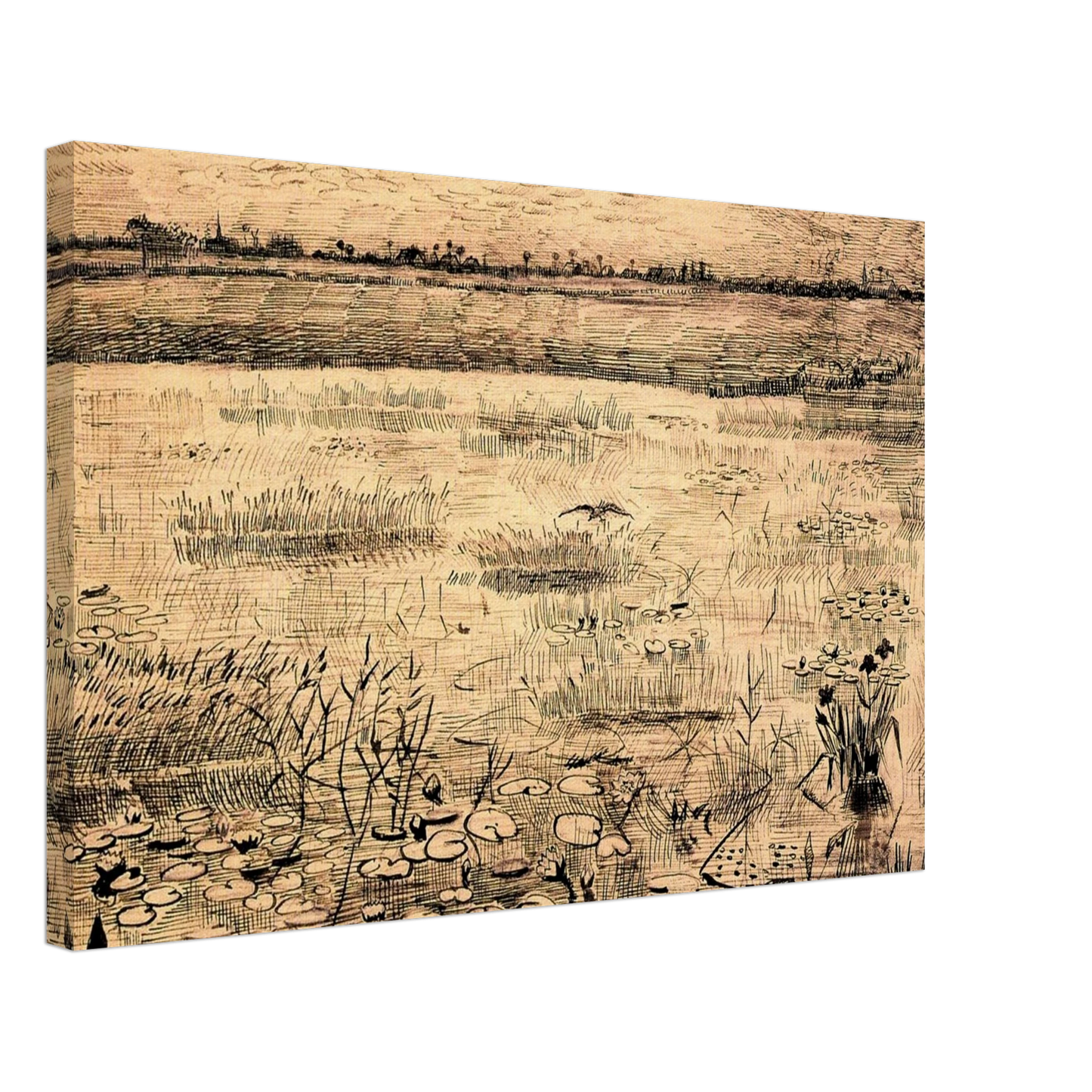 Vincent van Gogh - Marsh with Water Lillies Canvas - 70x100 cm / 28x40 inches-canvas