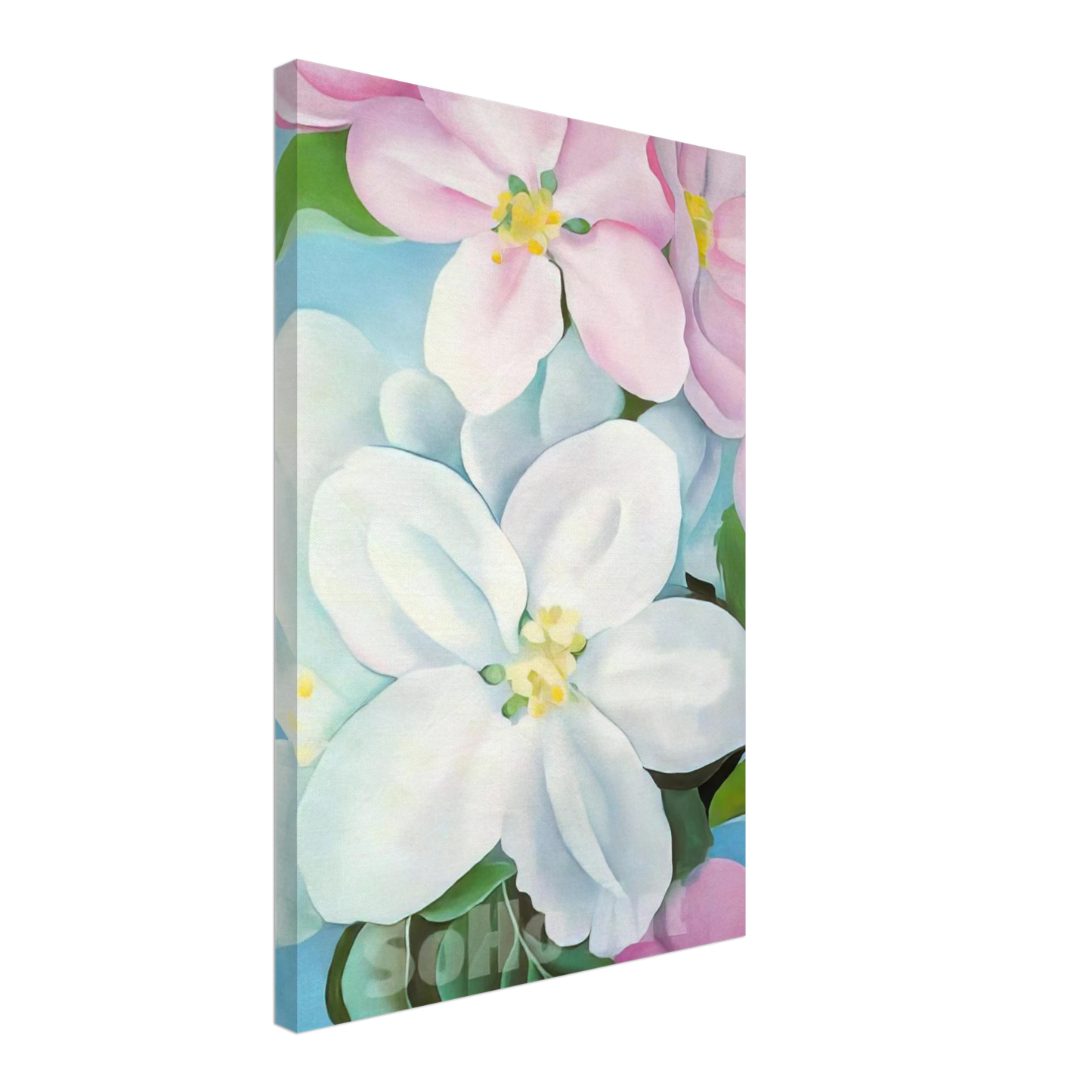 Georgia O'Keeffe - Apple Blossoms Canvas - 40x60 cm / 16x24 inches-canvas