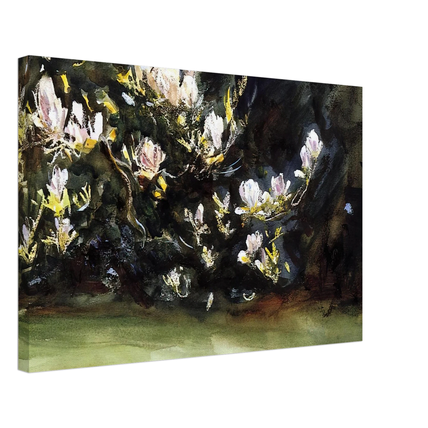 John Singer Sargent - Magnolias Canvas - 40x60 cm / 16x24 inches-canvas