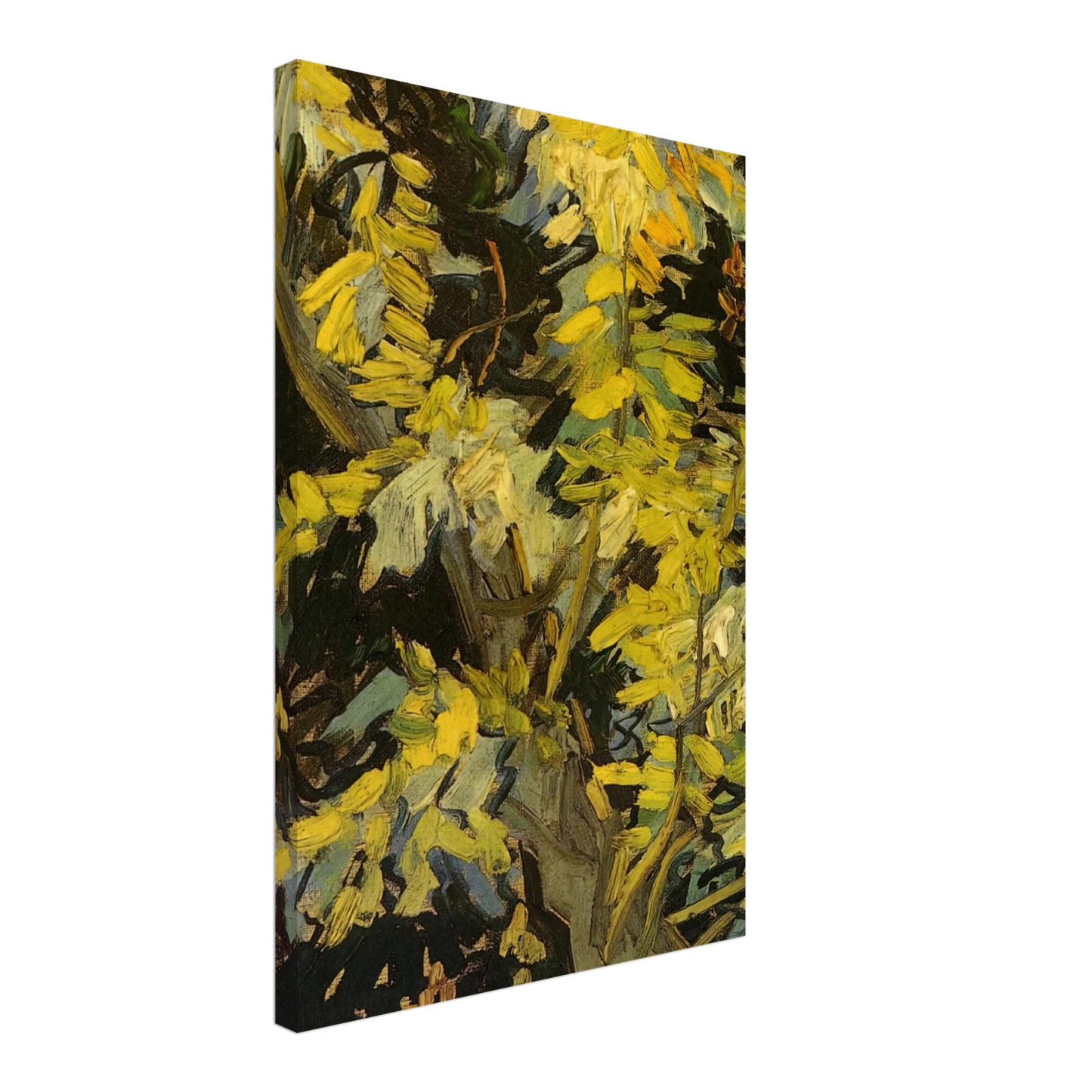 Vincent van Gogh - Blossoming Acacia Branches Canvas - 70x100 cm / 28x40 inches-canvas