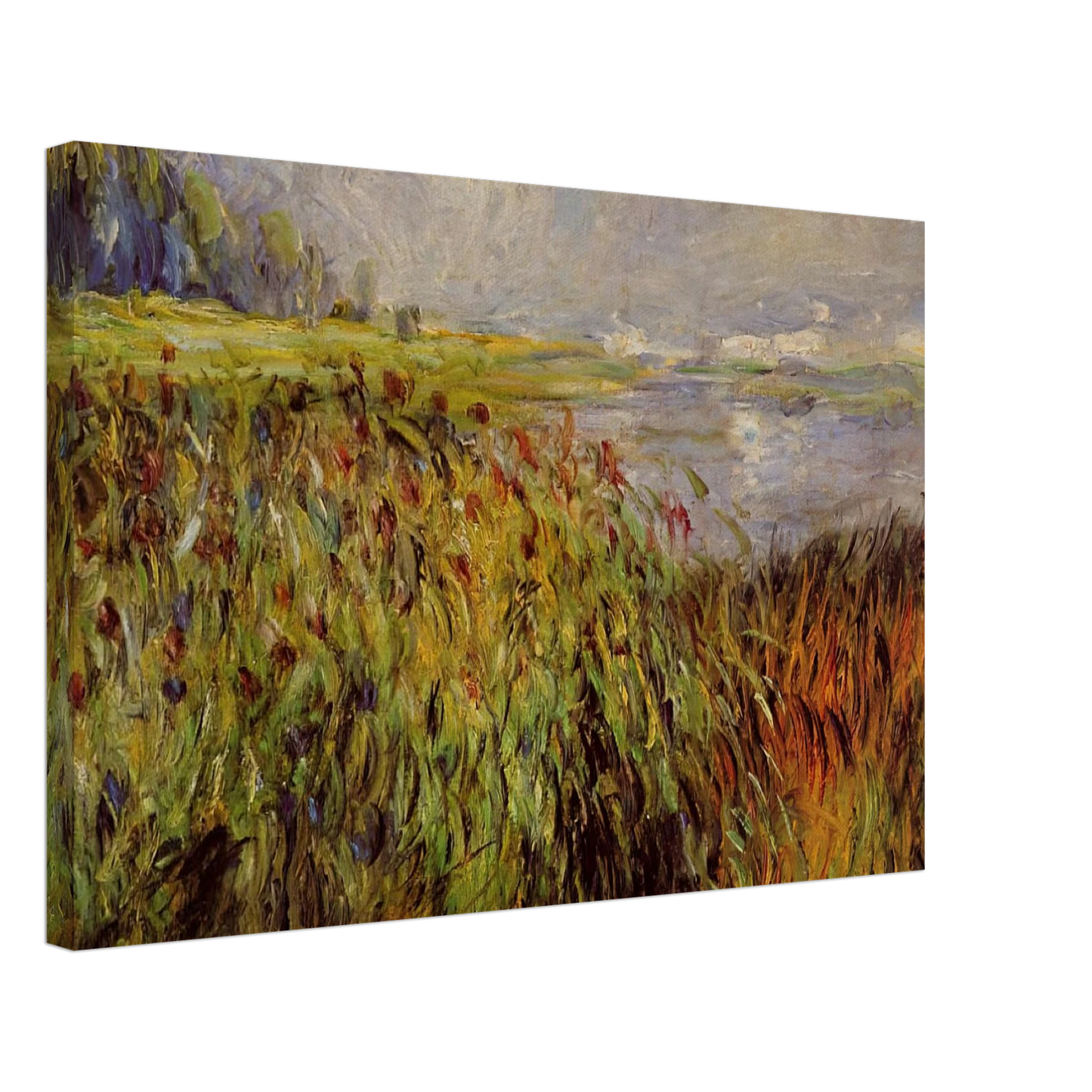 Pierre-Auguste Renoir - Bulrushes on the Banks of the Seine Canvas - 40x60 cm / 16x24 inches-canvas