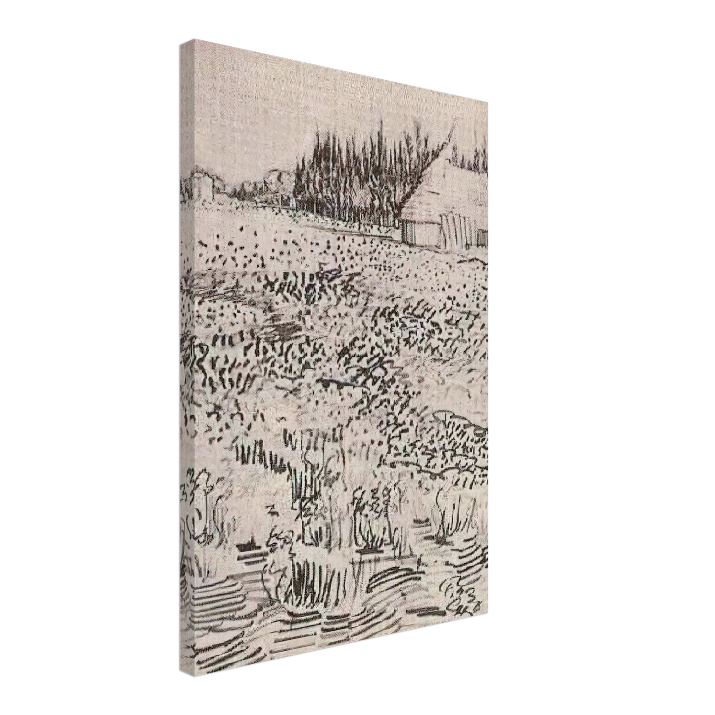 Vincent van Gogh - Landscape with Hut in the Camargue Canvas - 40x60 cm / 16x24 inches-canvas