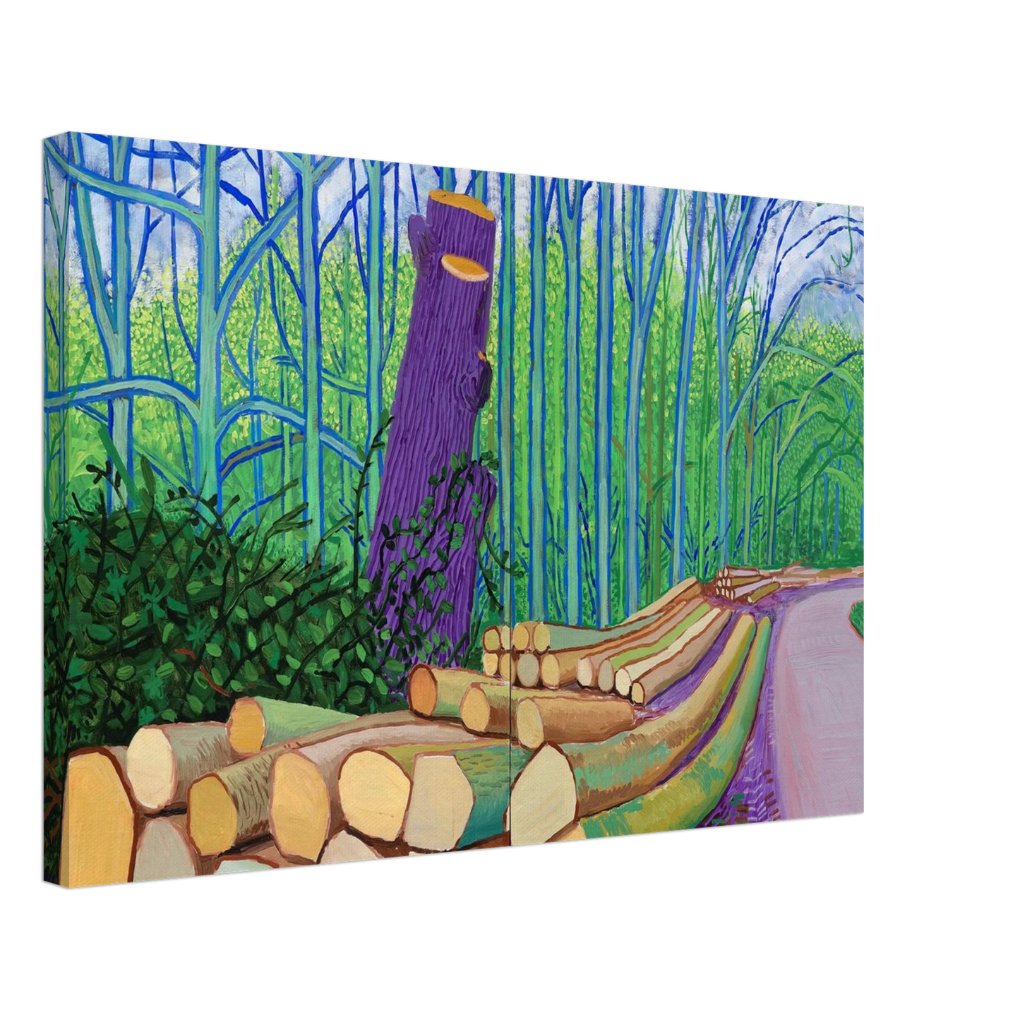 David Hockney - David Hockney Canvas - 70x100 cm / 28x40 inches-canvas