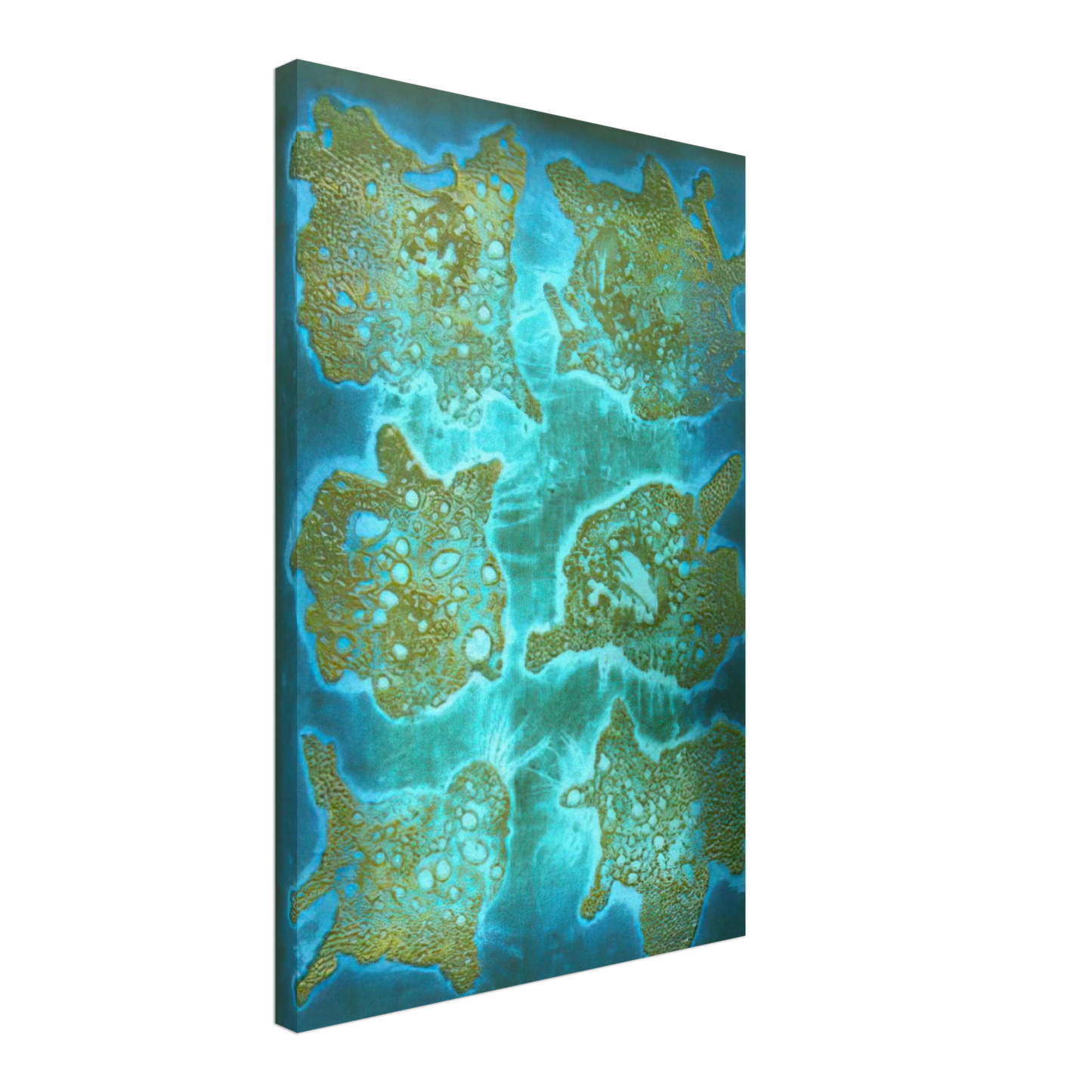 Hiroyuki Tajima - Dried Flowers - 1964 Canvas - 40x60 cm / 16x24 inches-canvas