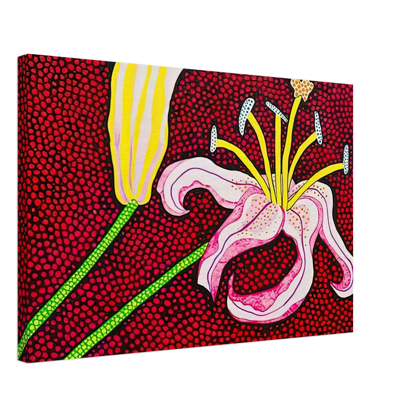 Yayoi Kusama - READY TO BLOSSOM IN THE MORNING 1989 Canvas - 70x100 cm / 28x40 inches-canvas