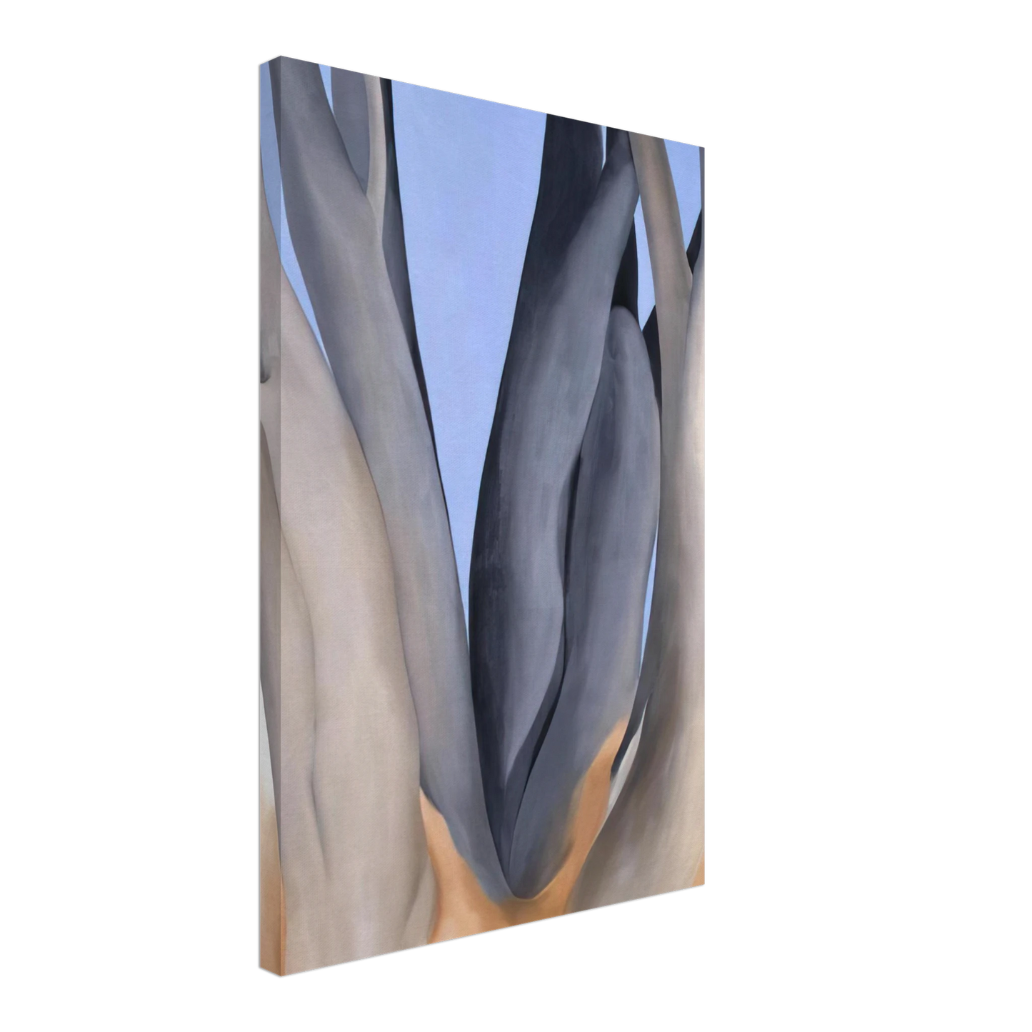 Georgia O'Keeffe - Dark Tree Trunks Canvas - 70x100 cm / 28x40 inches-canvas