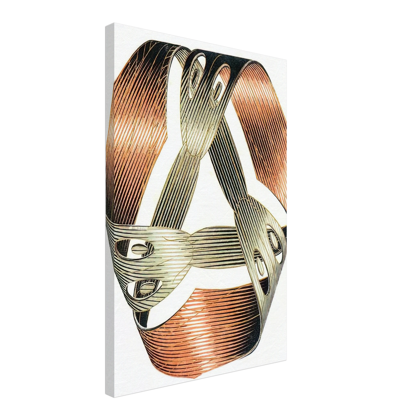 MC Escher - MOEBIUS STRIP I Canvas - 40x60 cm / 16x24 inches-canvas