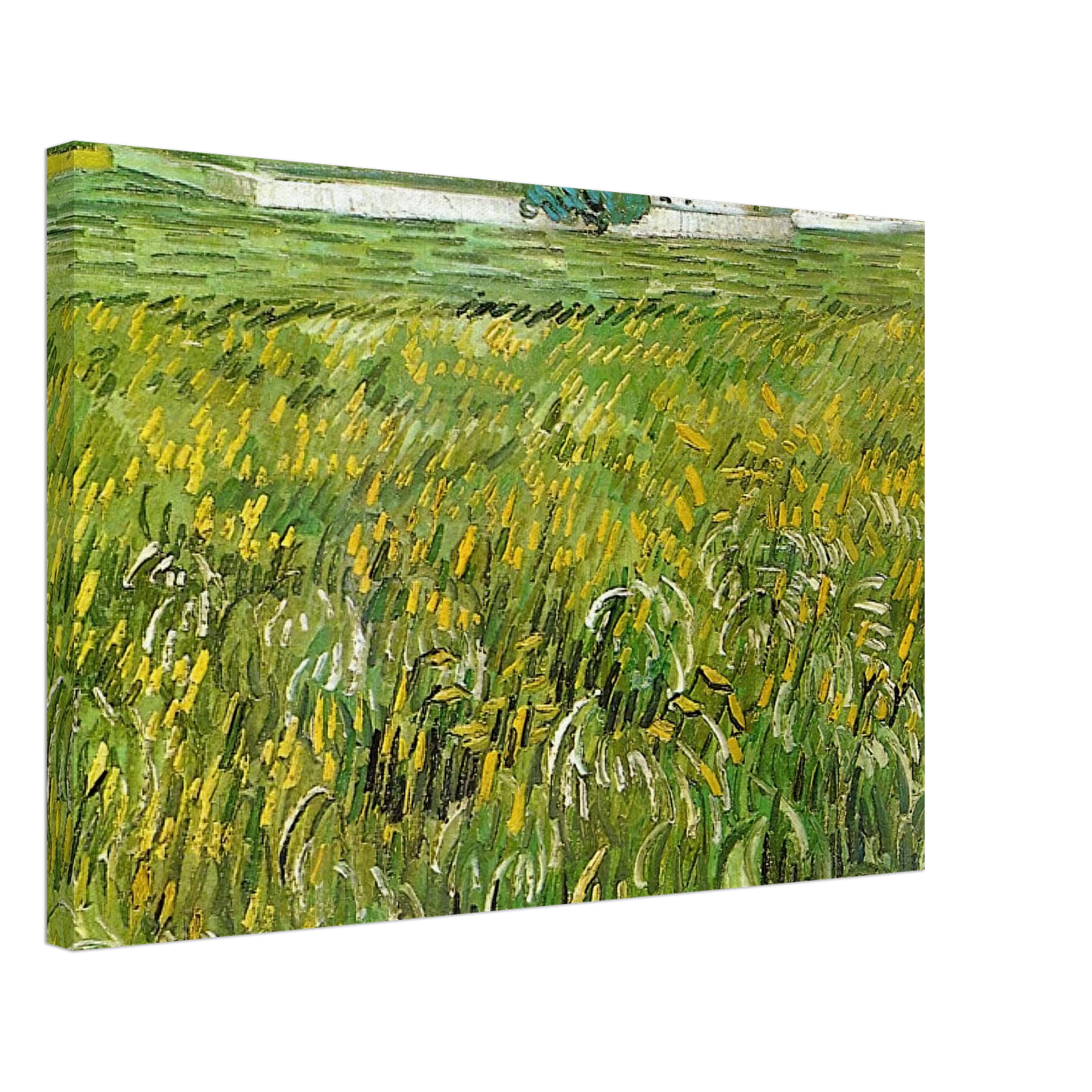 Vincent van Gogh - Wheat Field at Auvers with White House Canvas - 40x60 cm / 16x24 inches-canvas