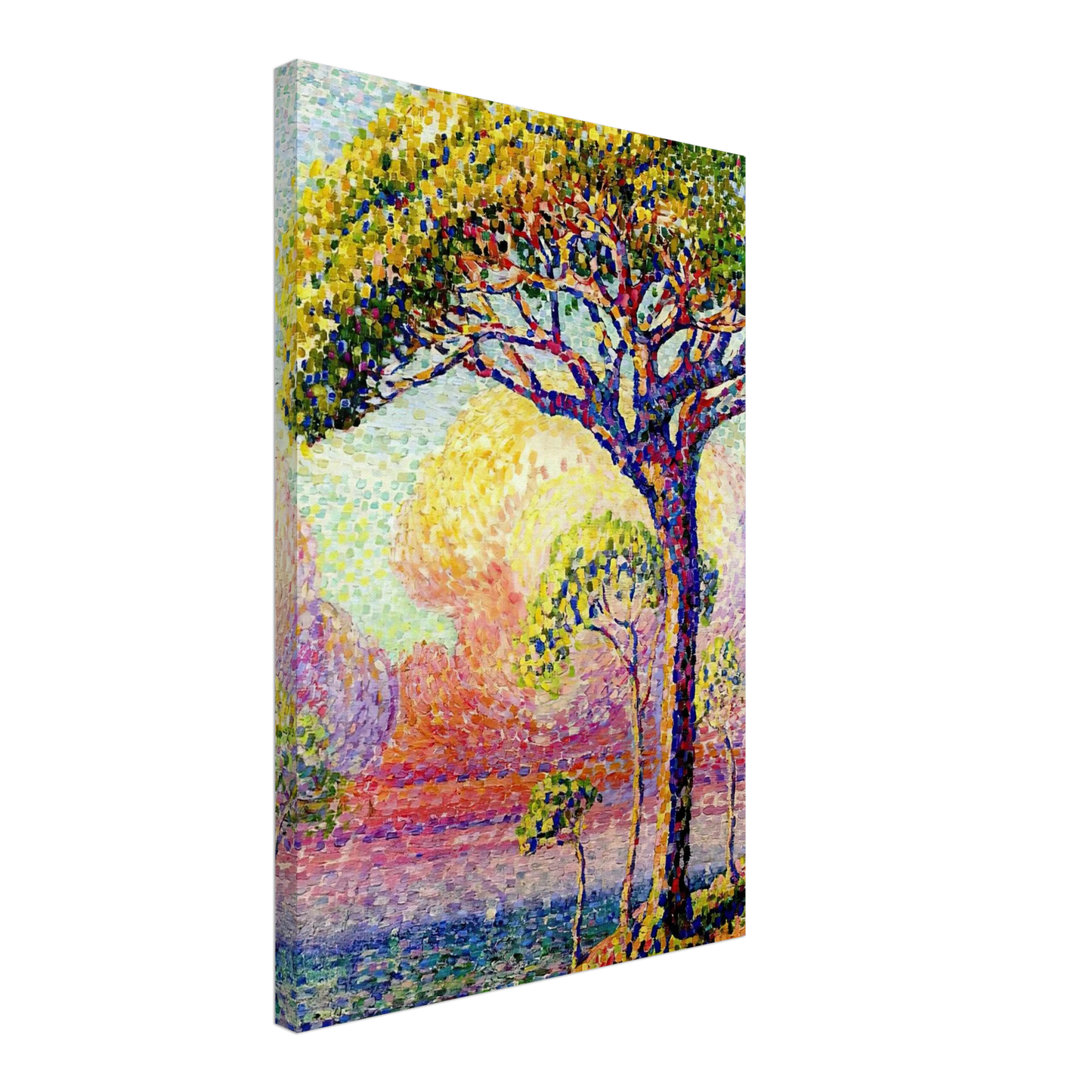 Henri-Edmond Cross - A Pine Tree Canvas - 40x60 cm / 16x24 inches-canvas