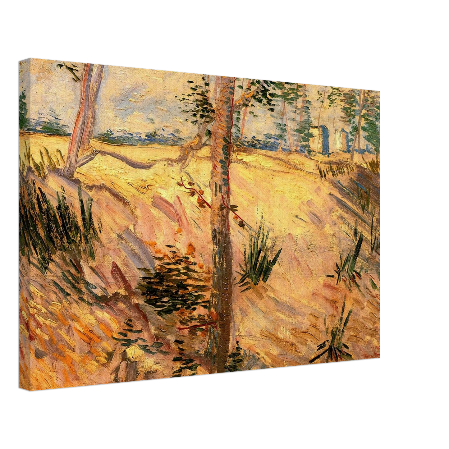 Vincent van Gogh - Trees in a Field on a Sunny Day Canvas - 70x100 cm / 28x40 inches-canvas