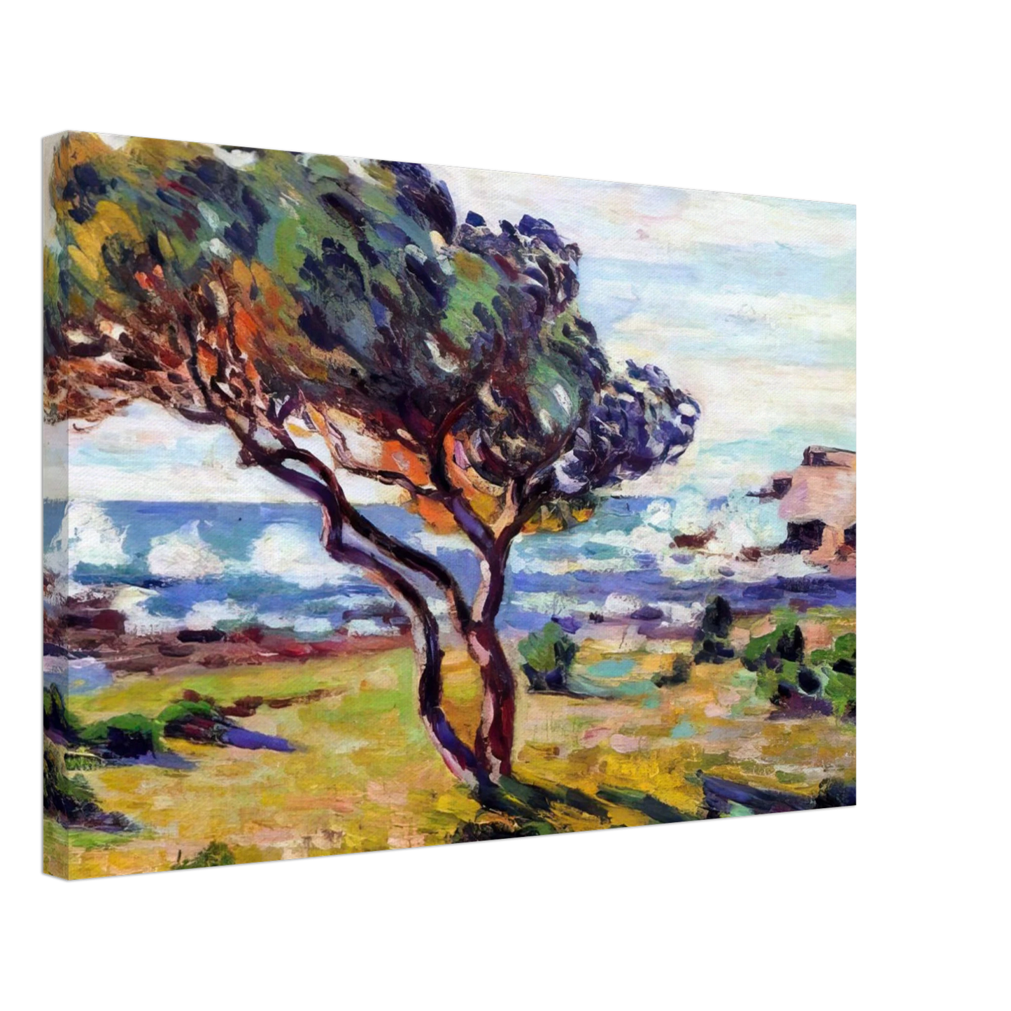 Armand Guillaumin - Rafales de vent, Le Brusc - 1911 Canvas - 70x100 cm / 28x40 inches-canvas