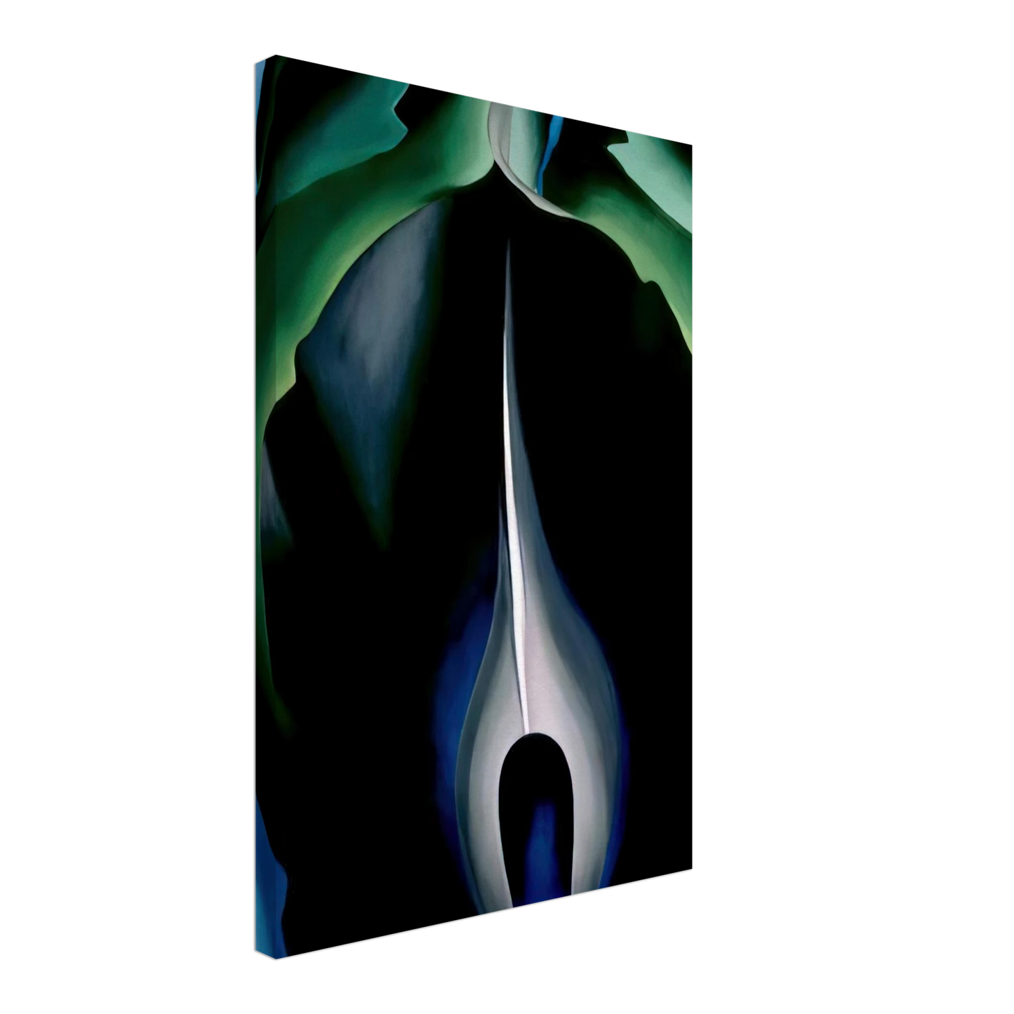 Georgia O'Keeffe - Jack-in-the-Pulpit No. IV Canvas - 70x100 cm / 28x40 inches-canvas