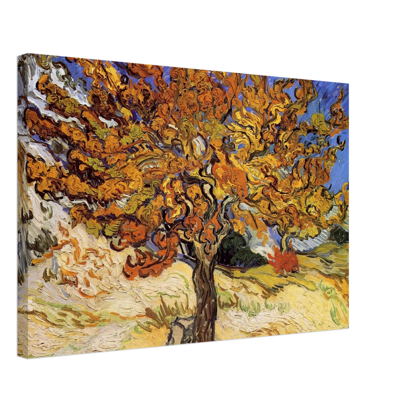 Vincent van Gogh - Mulberry Tree Canvas - 70x100 cm / 28x40 inches-canvas