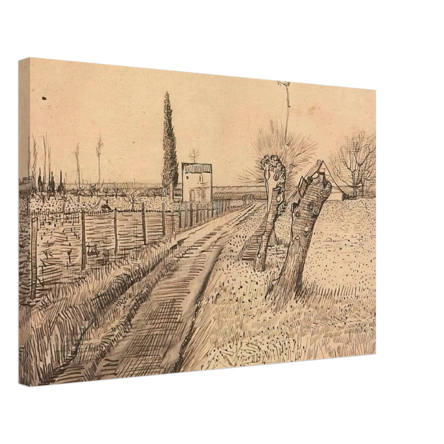 Vincent van Gogh - Landscape with Path and Pollard Trees Canvas - 70x100 cm / 28x40 inches-canvas