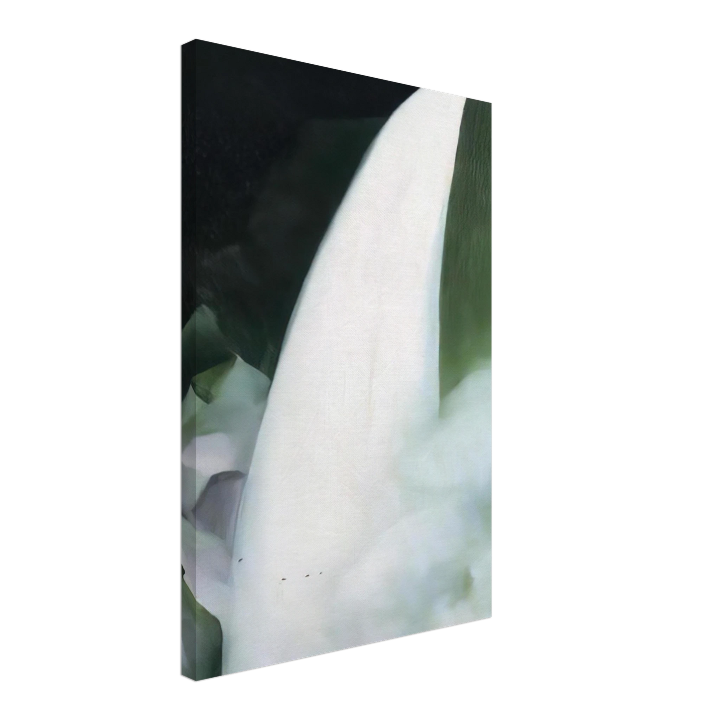 Georgia O'Keeffe - Green and White Canvas - 70x100 cm / 28x40 inches-canvas