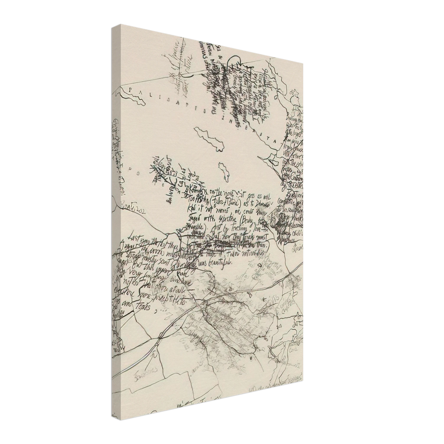 John Cage - Mushroom Book Plate X - 1972 Canvas - 70x100 cm / 28x40 inches-canvas