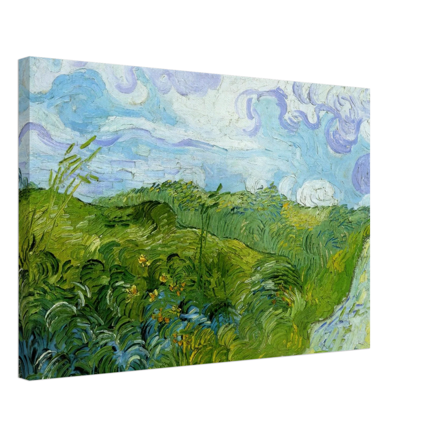 Vincent van Gogh - Green Wheat Fields Canvas - 40x60 cm / 16x24 inches-canvas