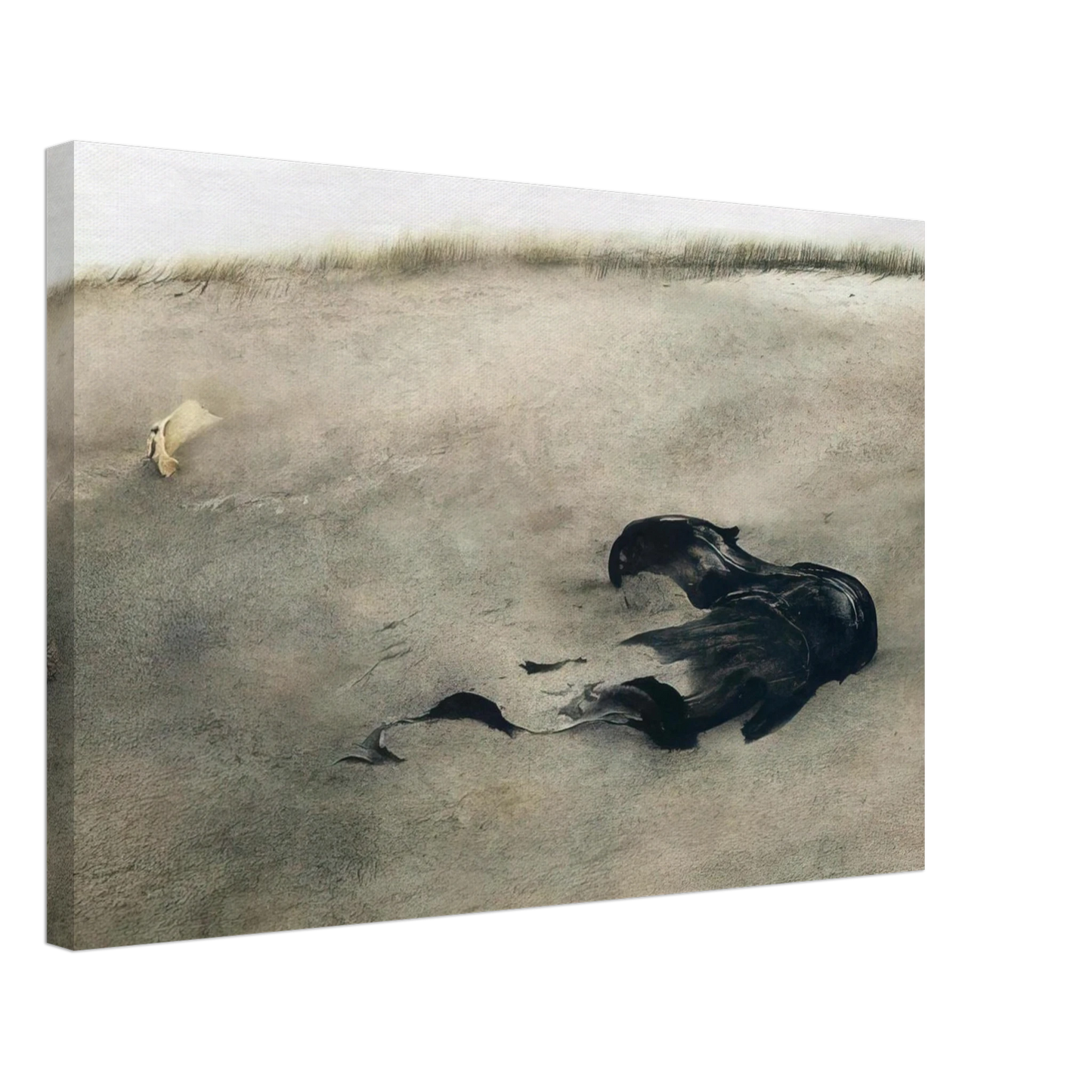 Andrew Wyeth - NOT DETECTED 37 Canvas - 70x100 cm / 28x40 inches-canvas