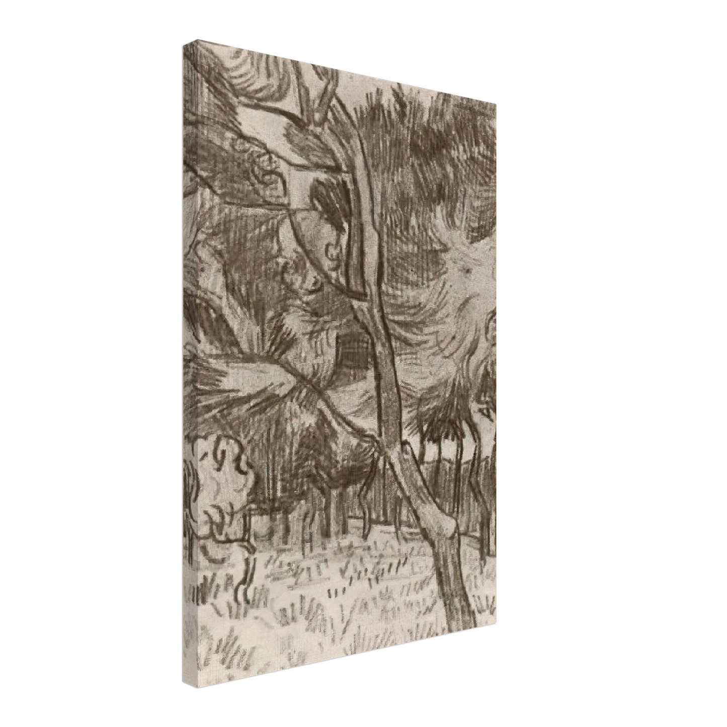 Vincent van Gogh - Pine Trees in the Garden of the Asylum Canvas - 70x100 cm / 28x40 inches-canvas