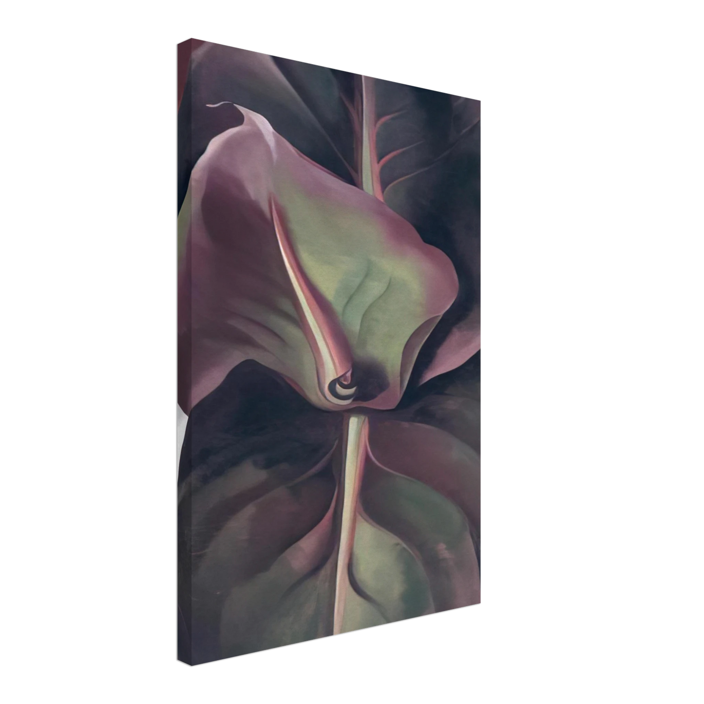 Georgia O'Keeffe - Canna Leaves Canvas - 70x100 cm / 28x40 inches-canvas