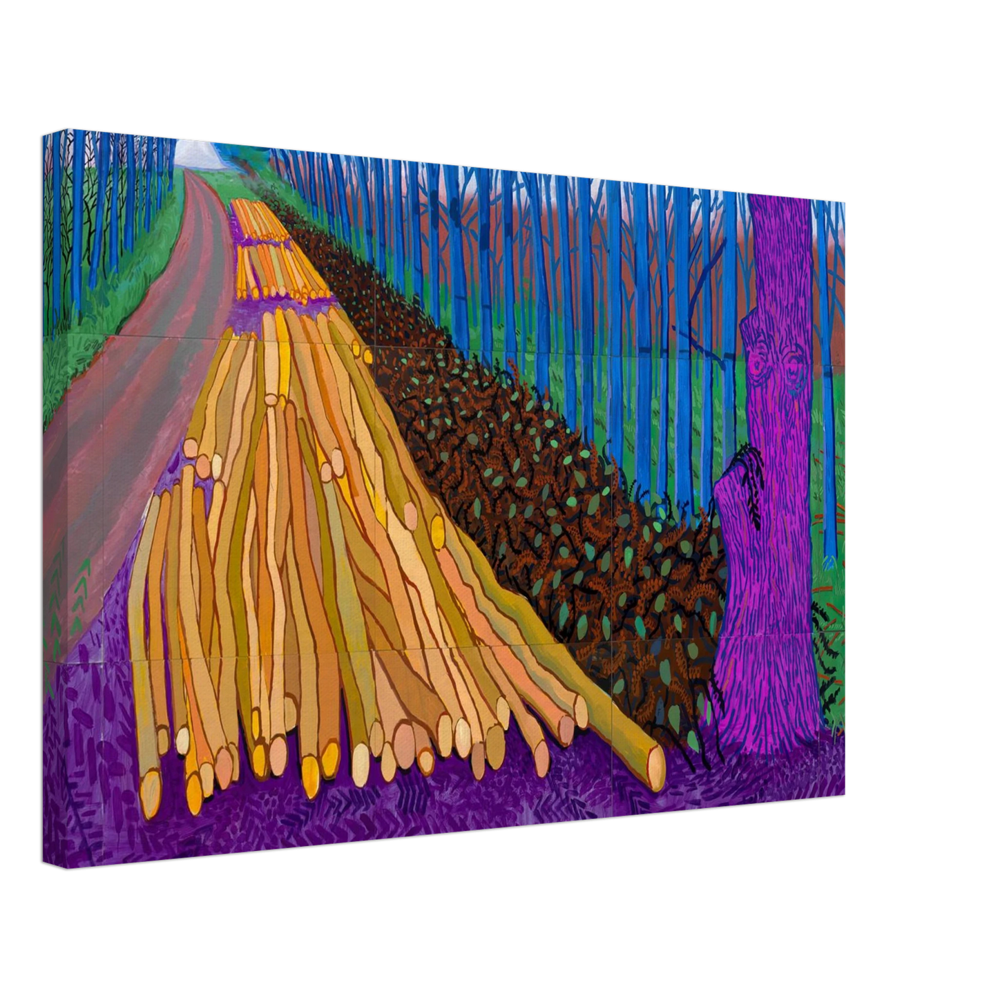 David Hockney - David Hockney Canvas - 70x100 cm / 28x40 inches-canvas