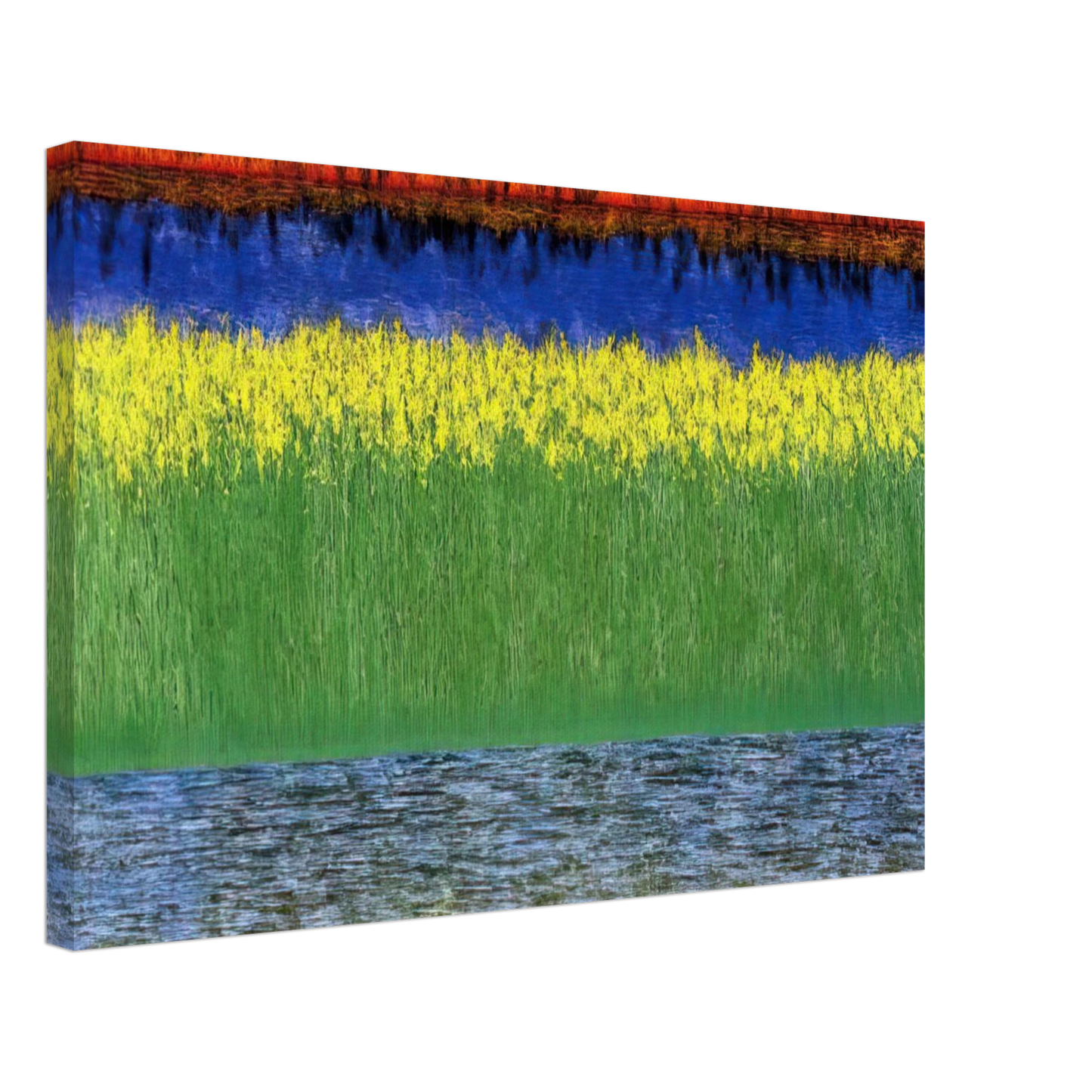 Jimmy Ernst - Sea of Grass - 1982 Canvas - 70x100 cm / 28x40 inches-canvas