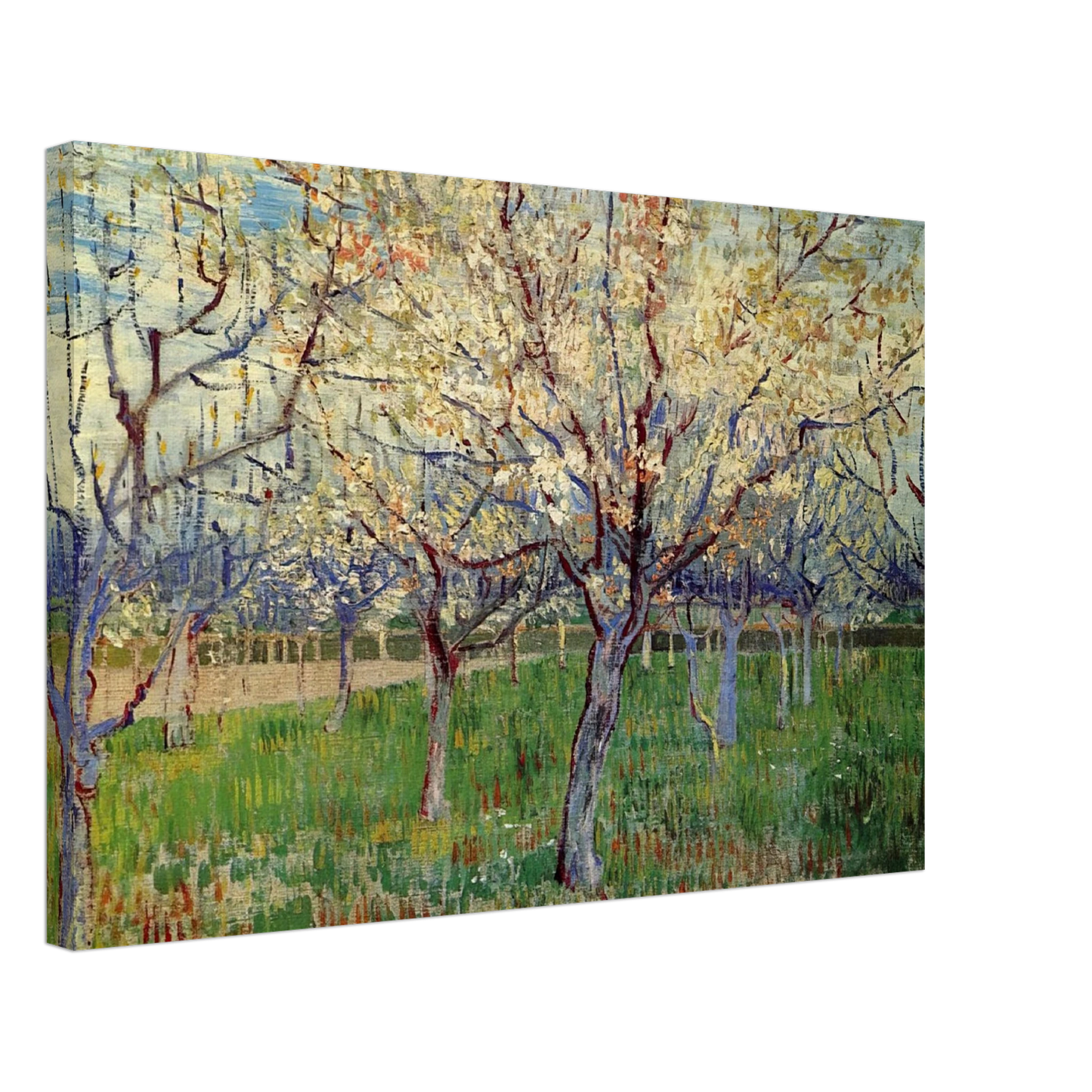 Vincent van Gogh - Orchard with Blossoming Apricot Trees Canvas - 70x100 cm / 28x40 inches-canvas