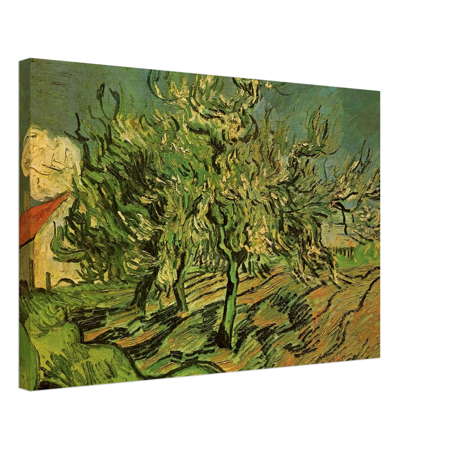 Vincent van Gogh - Landscape with Three Trees and a House Canvas - 40x60 cm / 16x24 inches-canvas