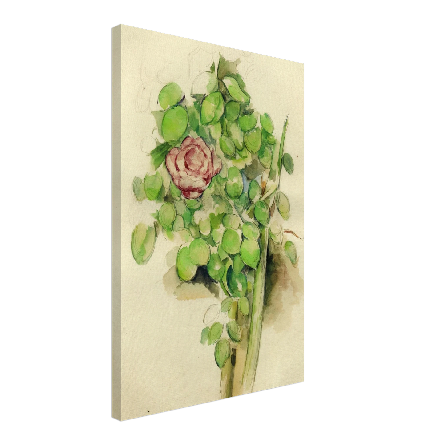Paul Cezanne - Rose Bush Canvas - 70x100 cm / 28x40 inches-canvas