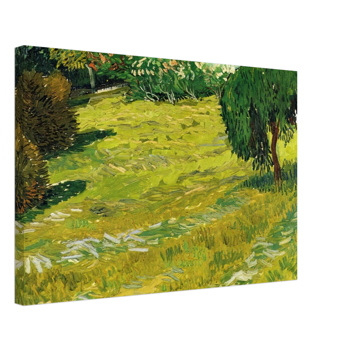 Vincent van Gogh - Garden with Weeping Willow Canvas - 40x60 cm / 16x24 inches-canvas