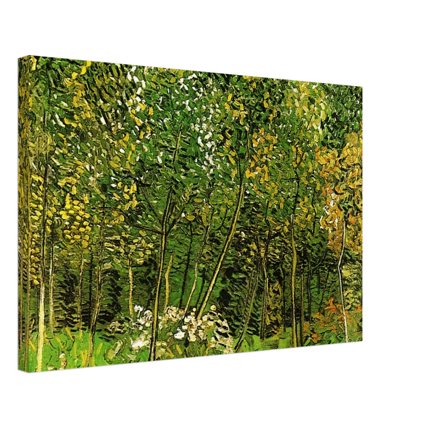 Vincent van Gogh - The Grove Canvas - 70x100 cm / 28x40 inches-canvas