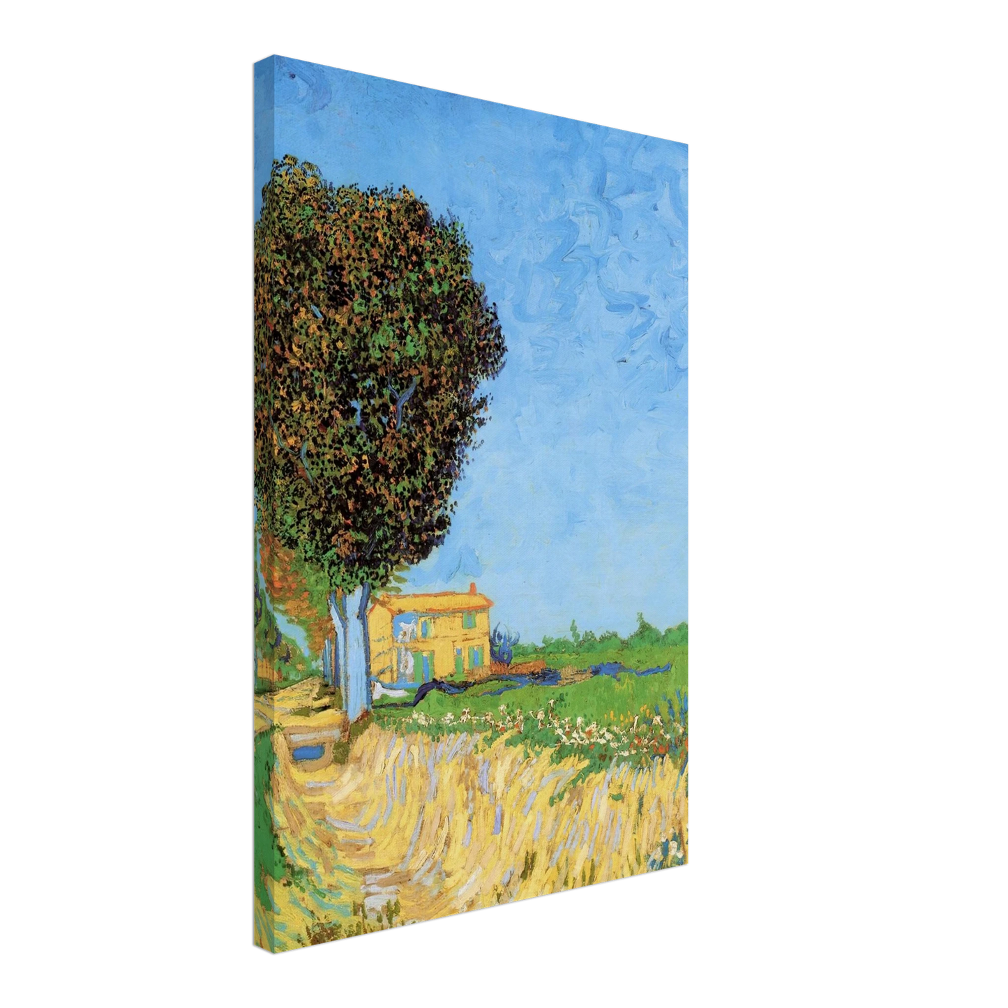 Vincent van Gogh - A Lane near Arles Canvas - 40x60 cm / 16x24 inches-canvas