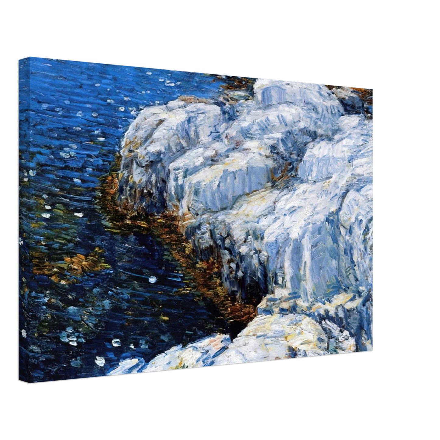 Childe Hassam - Jelly Fish Canvas - 40x60 cm / 16x24 inches-canvas