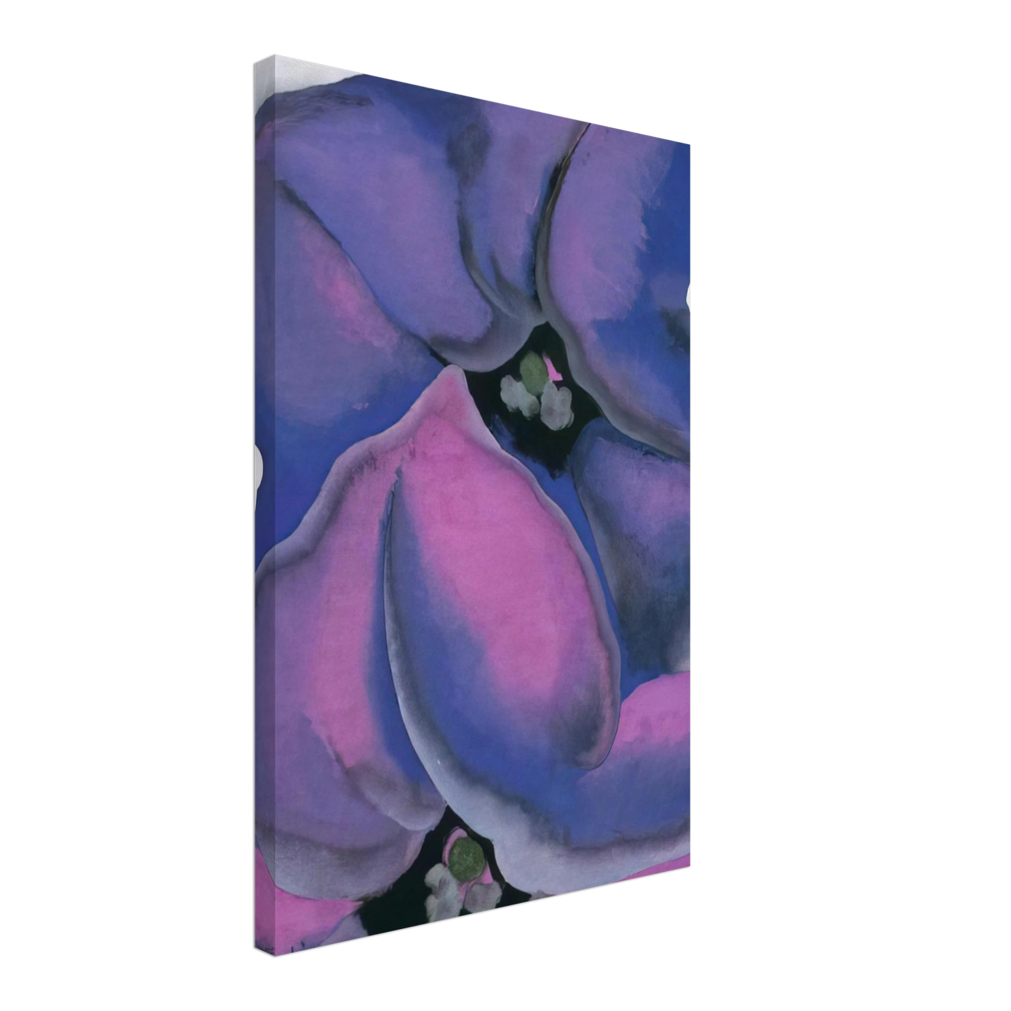 Georgia O'Keeffe - Purple Petunias Canvas - 40x60 cm / 16x24 inches-canvas