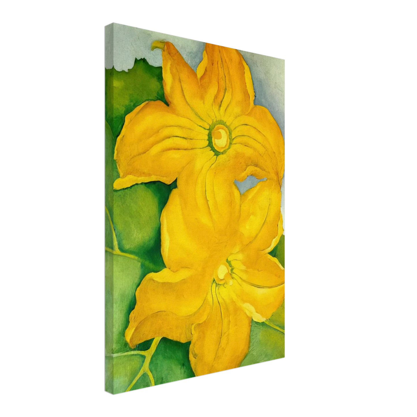 Georgia O'Keeffe - Squash Blossoms I Canvas - 70x100 cm / 28x40 inches-canvas