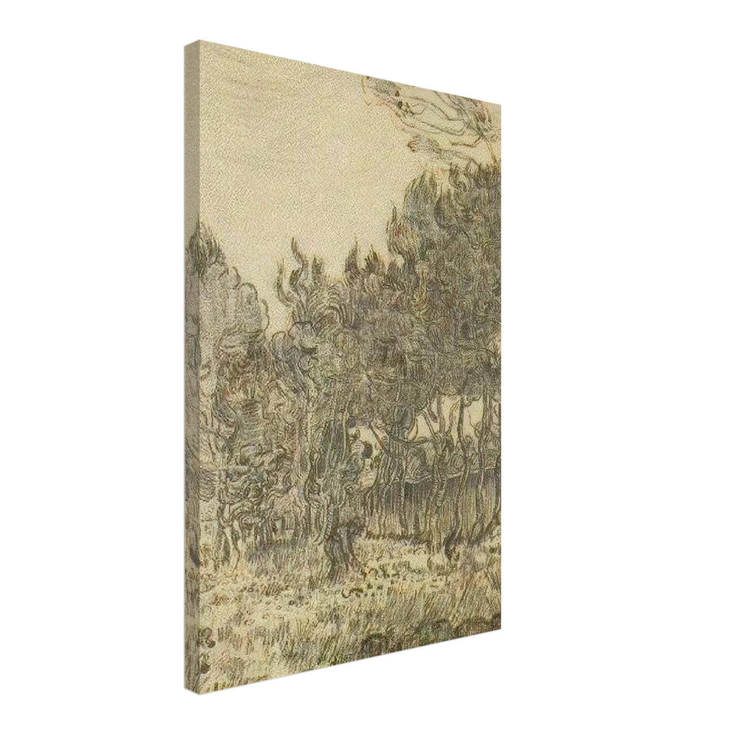 Vincent van Gogh - Pine Trees near the Wall of the Asylum Canvas - 70x100 cm / 28x40 inches-canvas