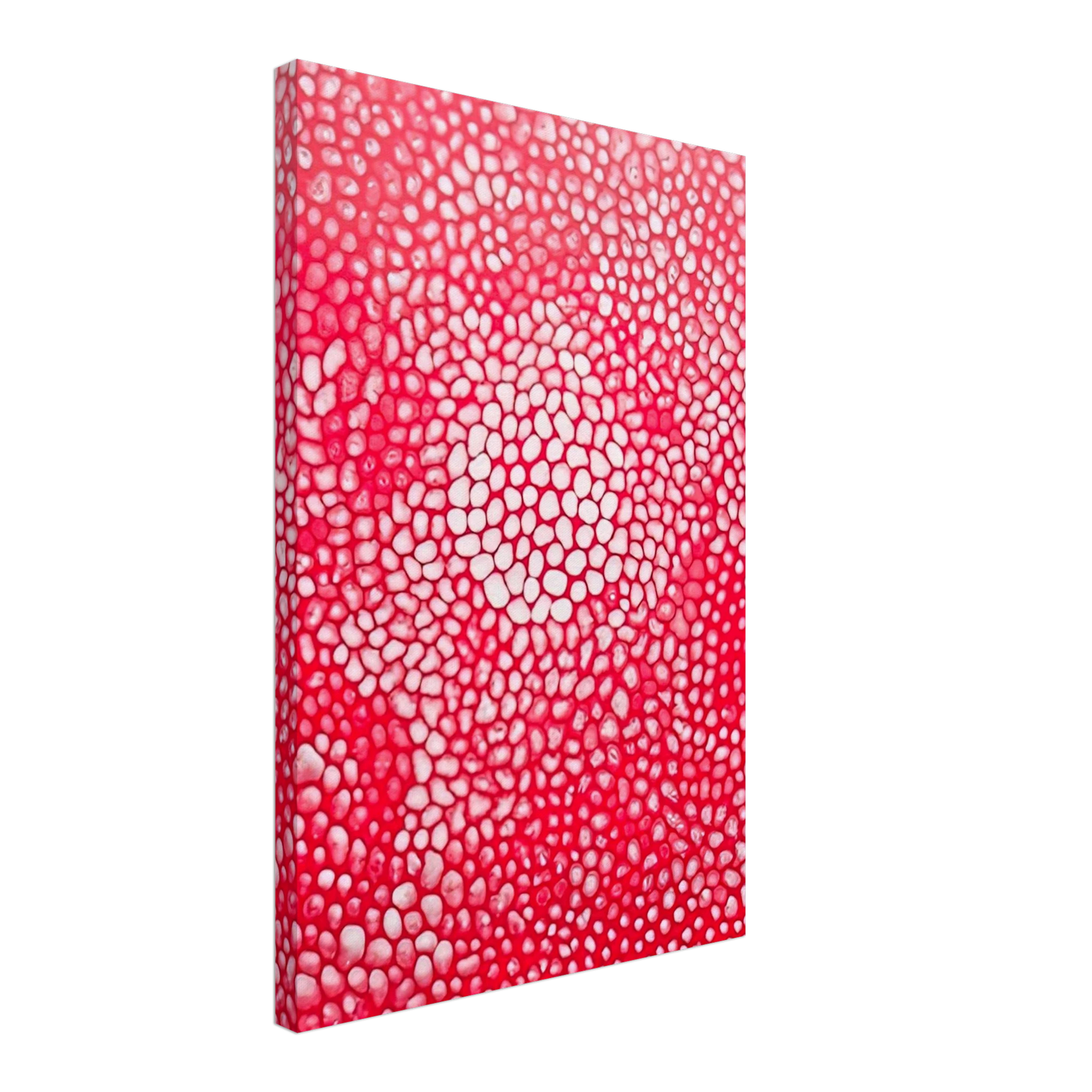 Yayoi Kusama - SUNLIGHT 1998 Canvas - 70x100 cm / 28x40 inches-canvas