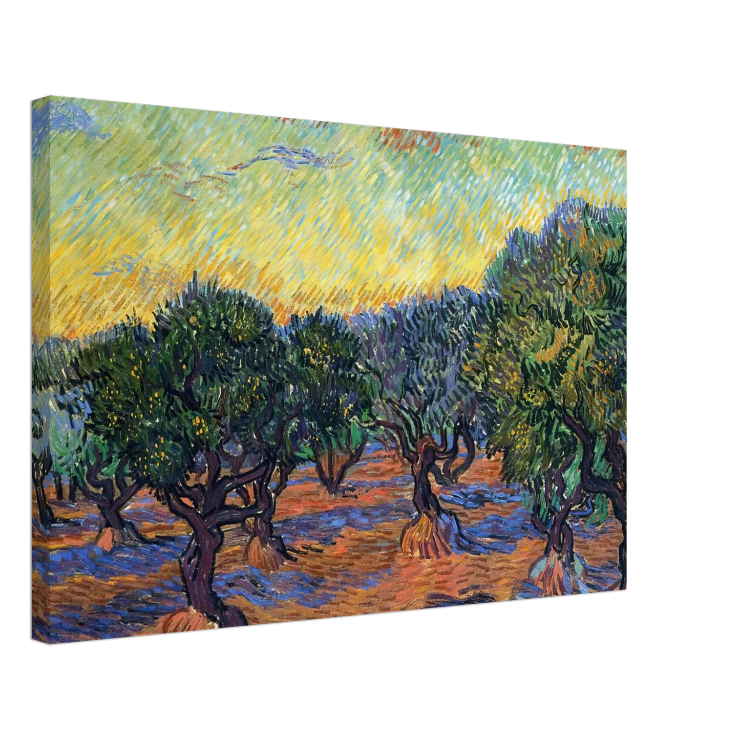 Vincent van Gogh - Olive Grove - Orange Sky Canvas - 70x100 cm / 28x40 inches-canvas