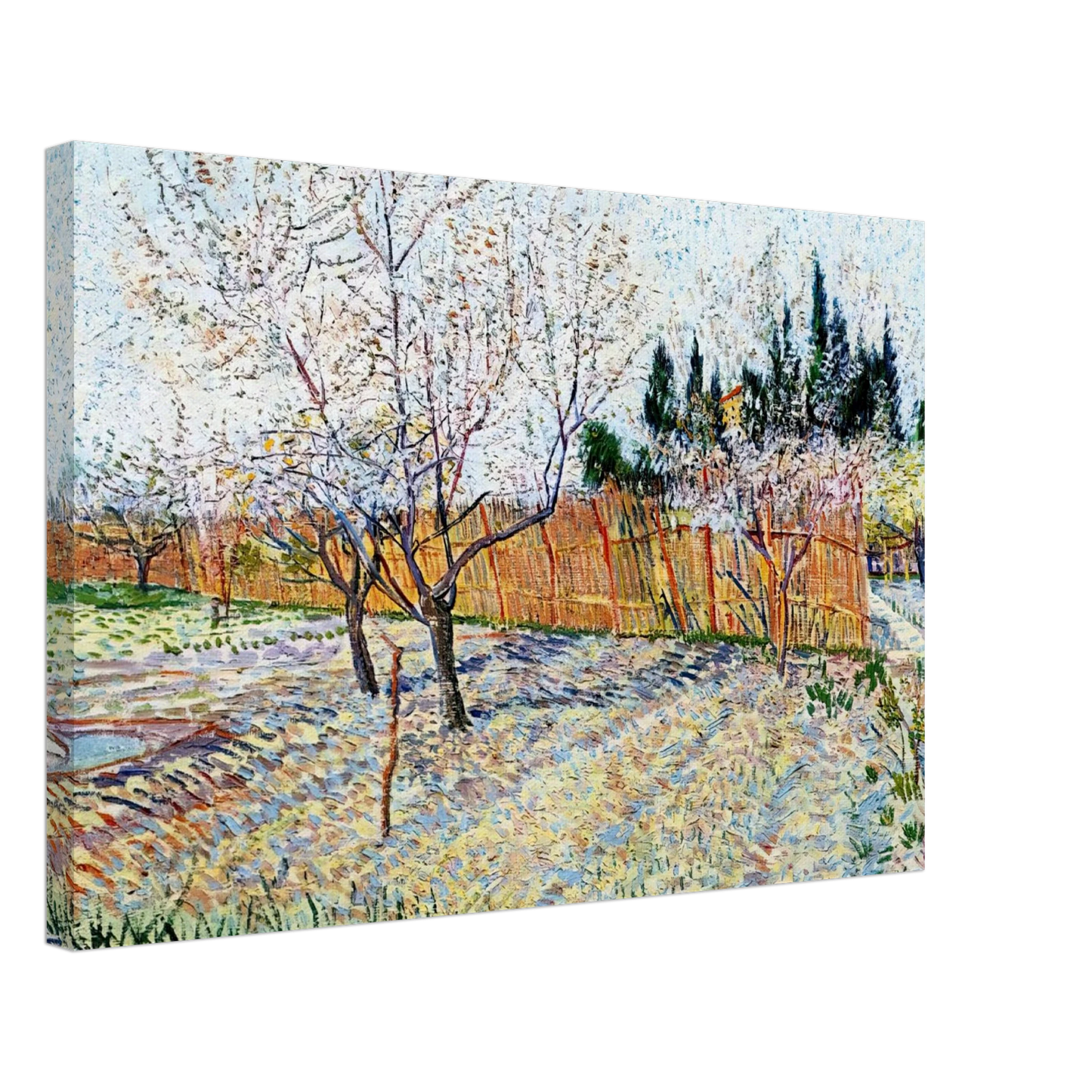 Vincent van Gogh - Orchard with Peach Trees in Blossom Canvas - 40x60 cm / 16x24 inches-canvas