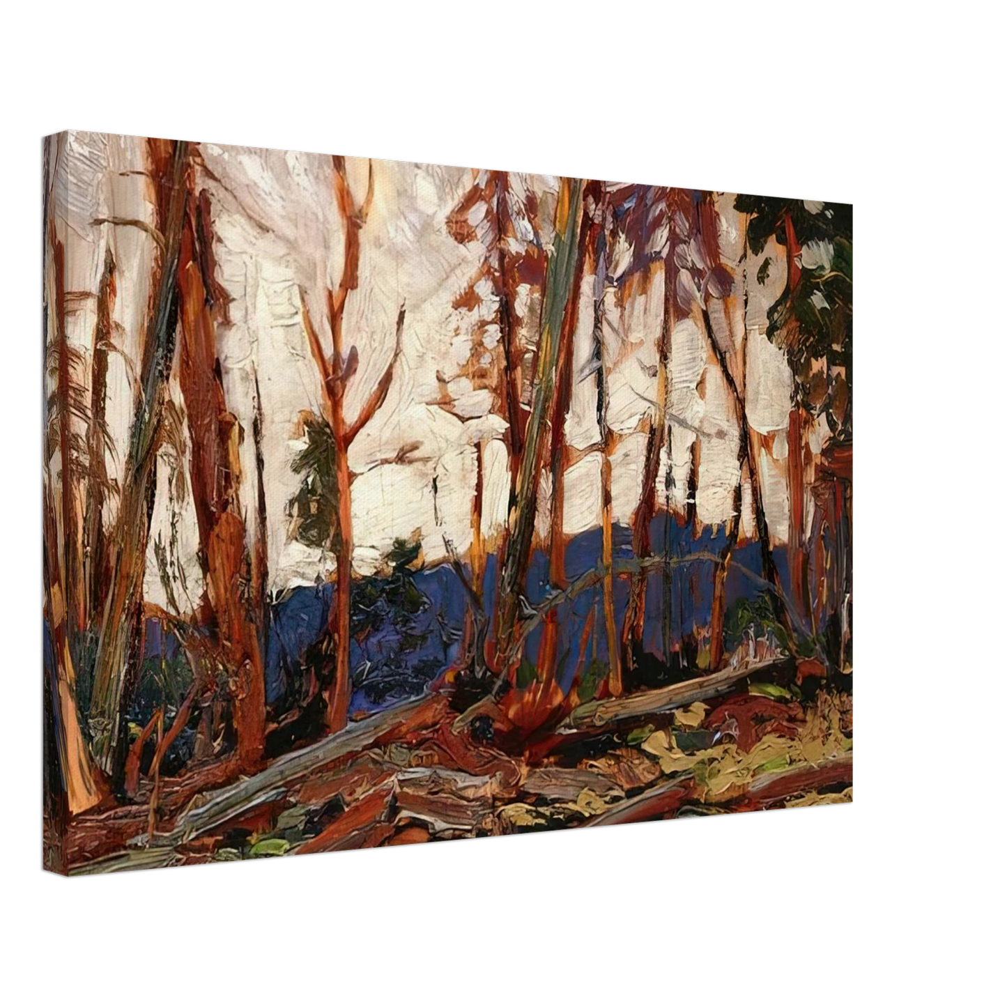 Tom Thomson - BURNT COUNTRY EVENING SKETCH FOR BURNT LAND 1914 Canvas - 70x100 cm / 28x40 inches-canvas