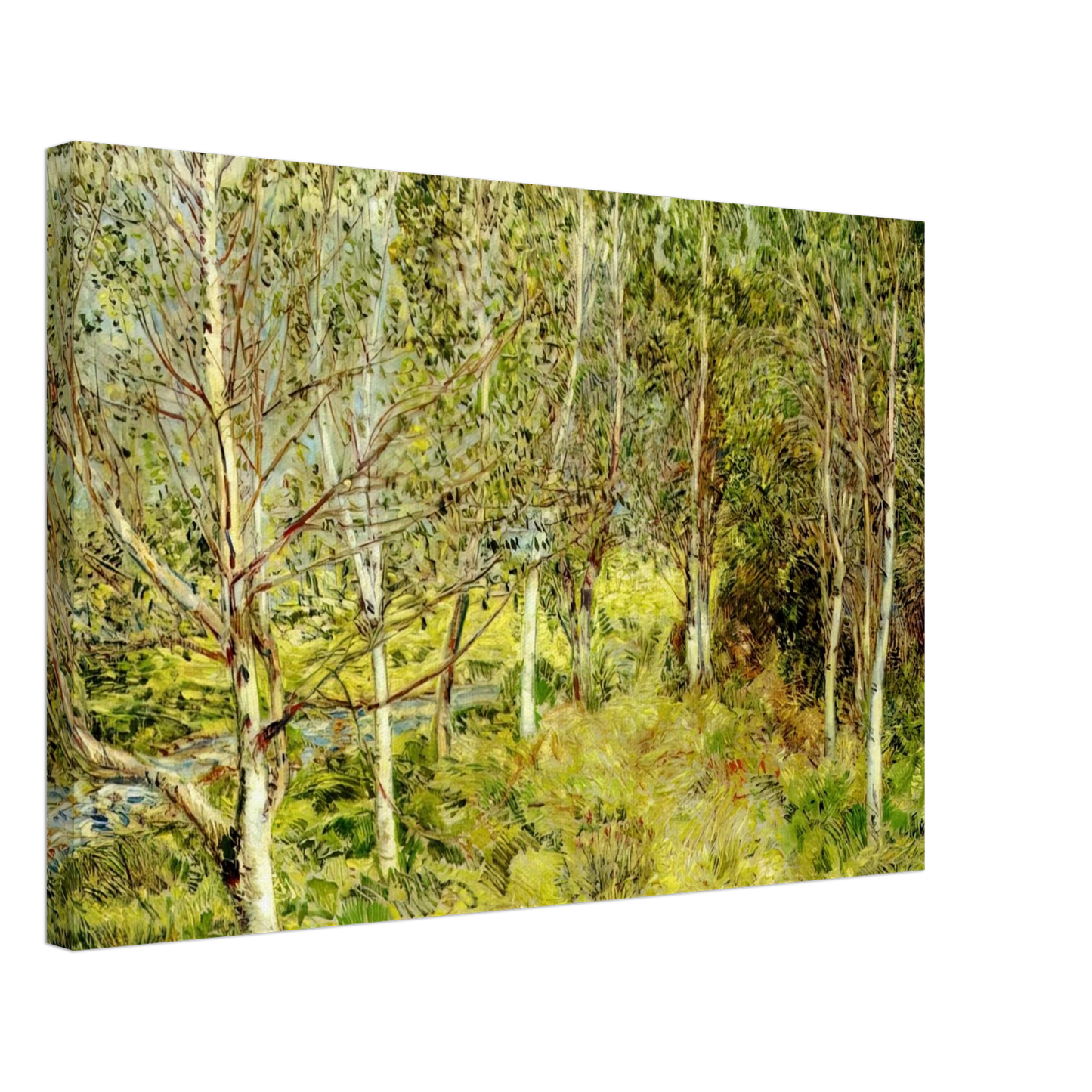 Childe Hassam - Spring Woods Canvas - 40x60 cm / 16x24 inches-canvas
