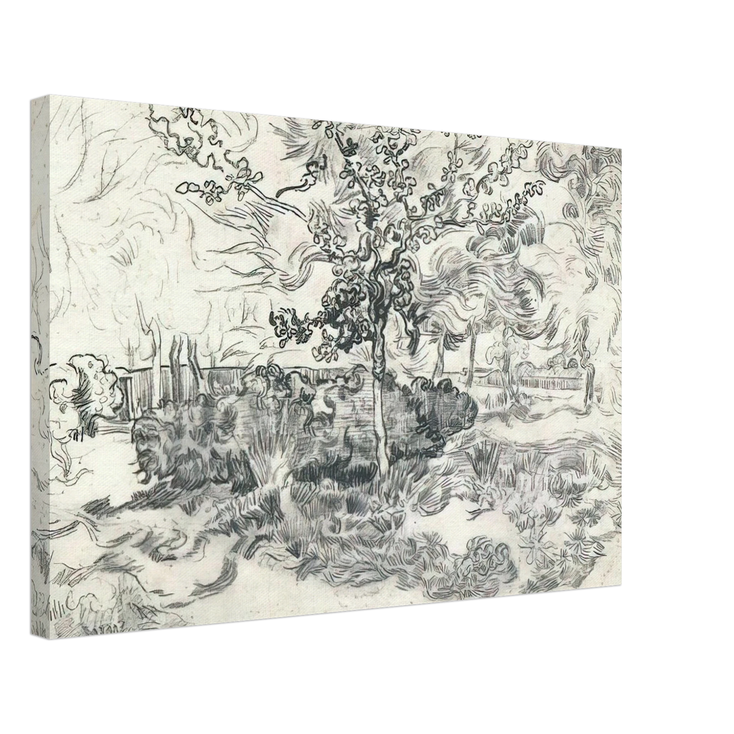 Vincent van Gogh - Garden of the Asylum Canvas - 40x60 cm / 16x24 inches-canvas