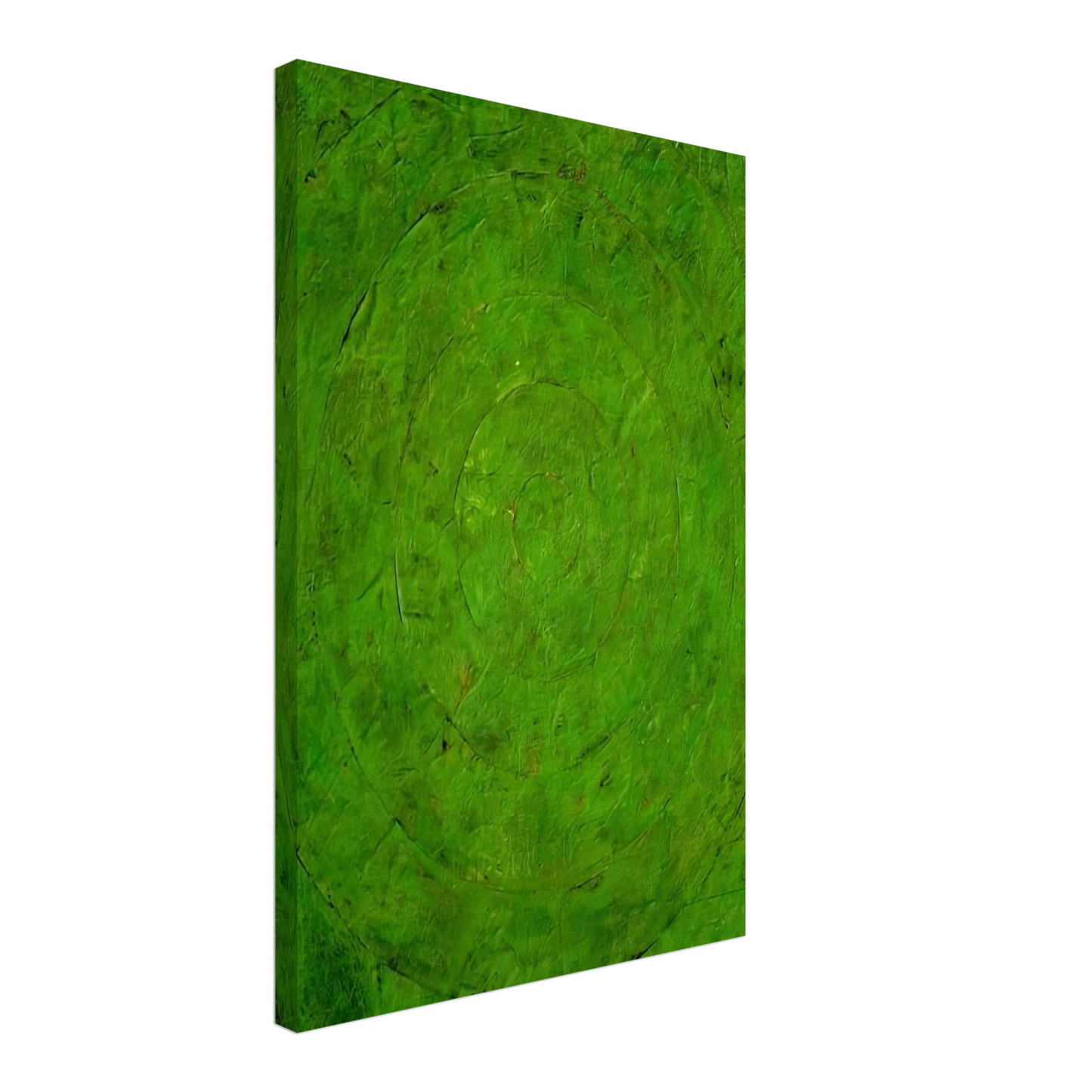 Jasper Johns - GREEN TARGET Canvas - 70x100 cm / 28x40 inches-canvas