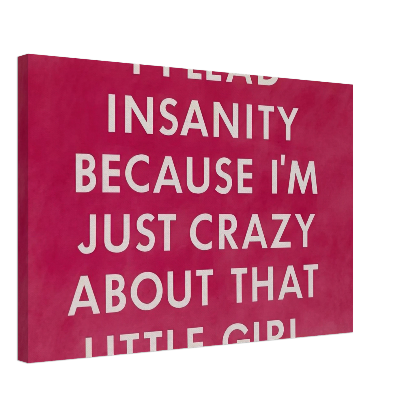 Edward Ruscha - I PLEAD INSANITY BECAUSE I M JUST CRAZY ABOUT THAT GIRL 1976 Canvas - 40x60 cm / 16x24 inches-canvas