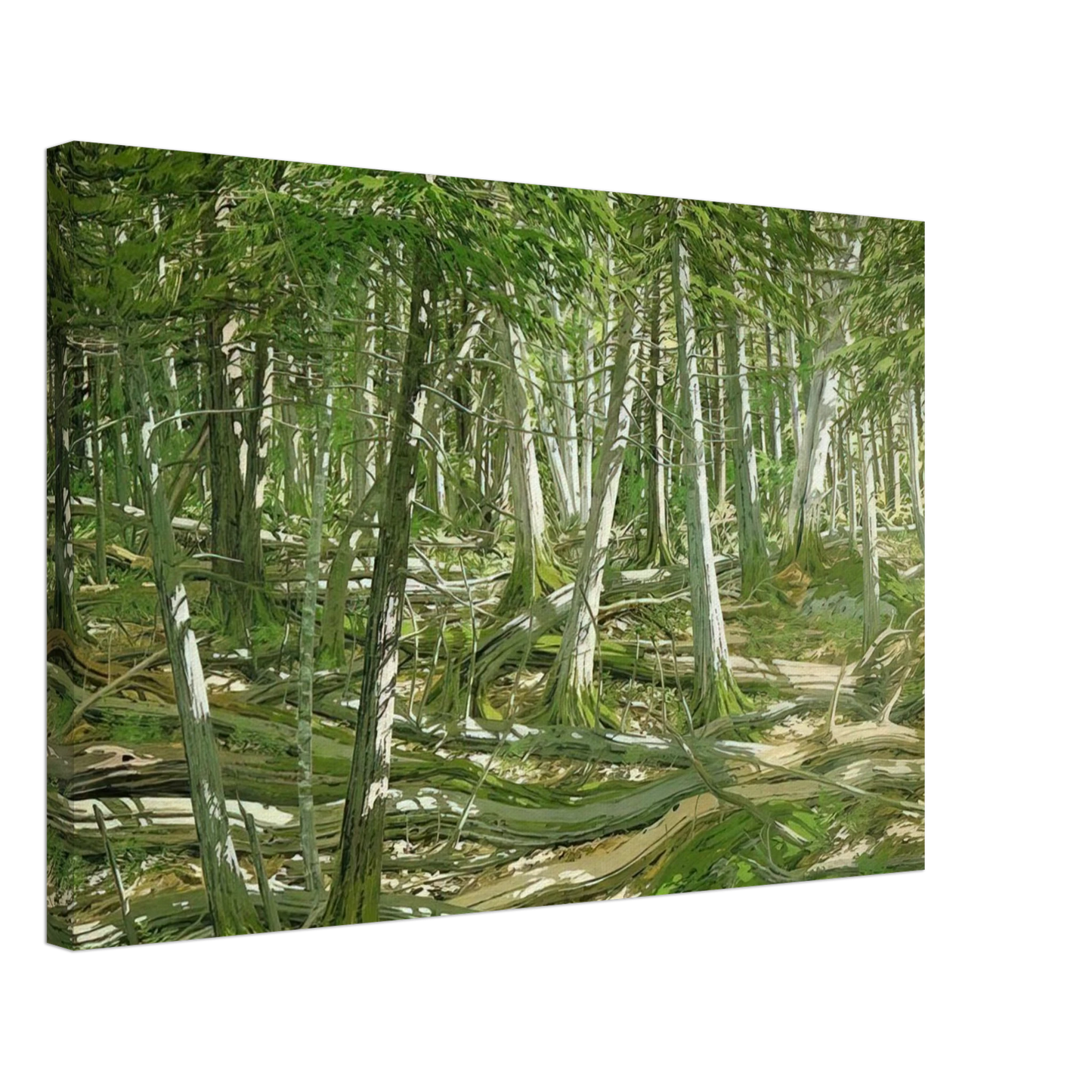 Neil Welliver - Old Windfall - 1982 Canvas - 40x60 cm / 16x24 inches-canvas