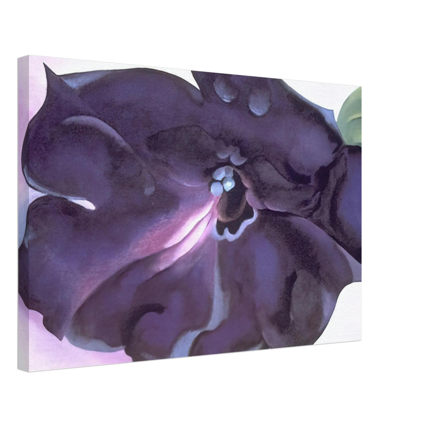 Georgia O'Keeffe - Petunia Canvas - 40x60 cm / 16x24 inches-canvas
